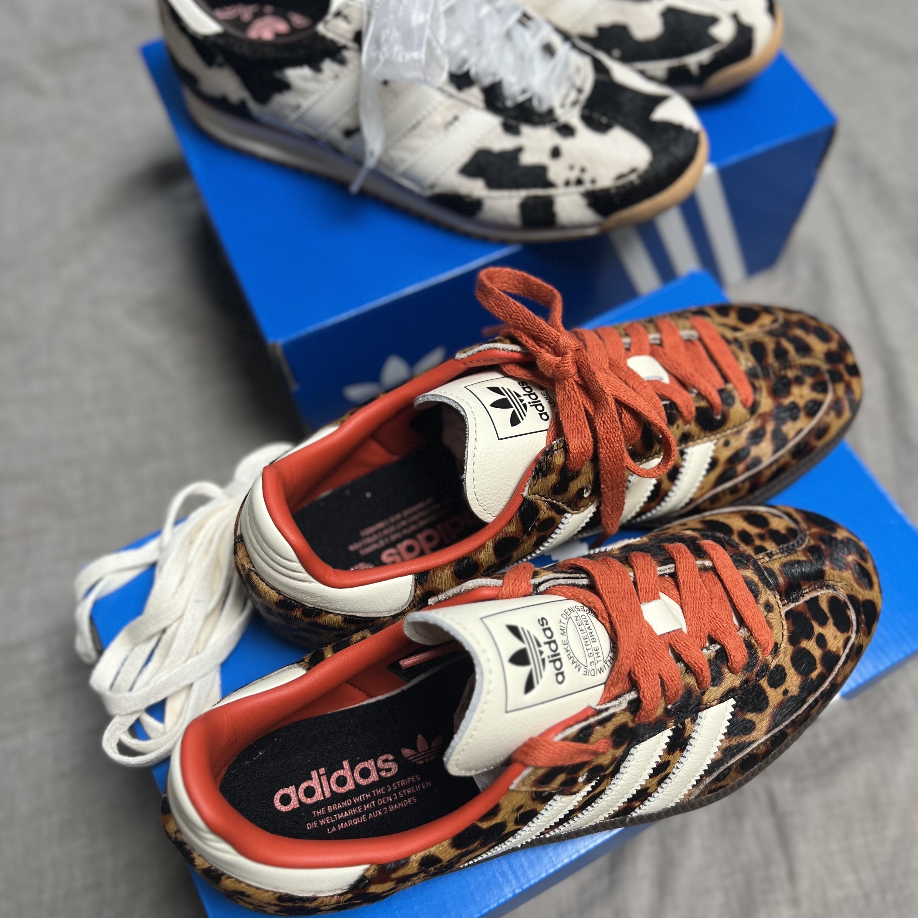 (W) Adidas Samba OG Core Black Preloved Red, (W) Adidas SL 72 OG Cow Print 착용 스타일 - 2