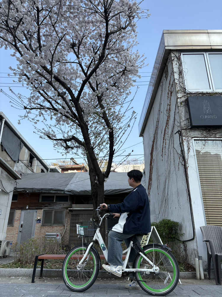 KREAM 프로필 이미지