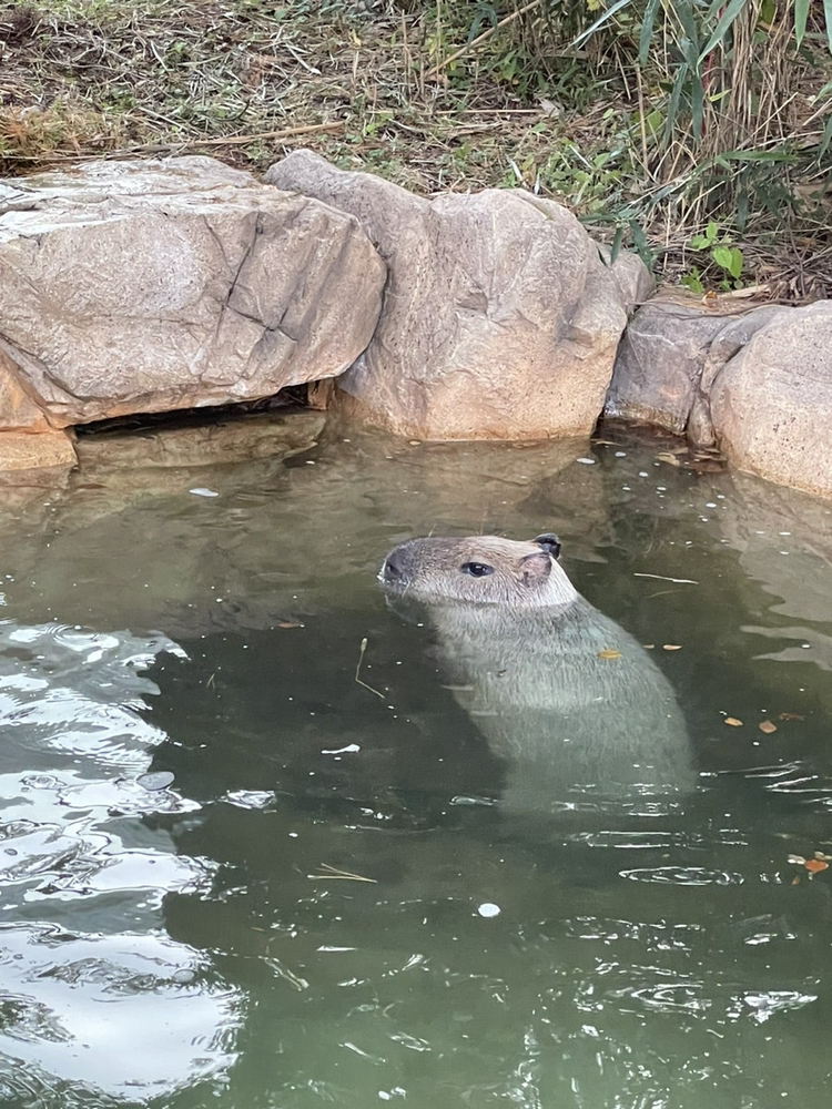 관심 유저 프로필 이미지