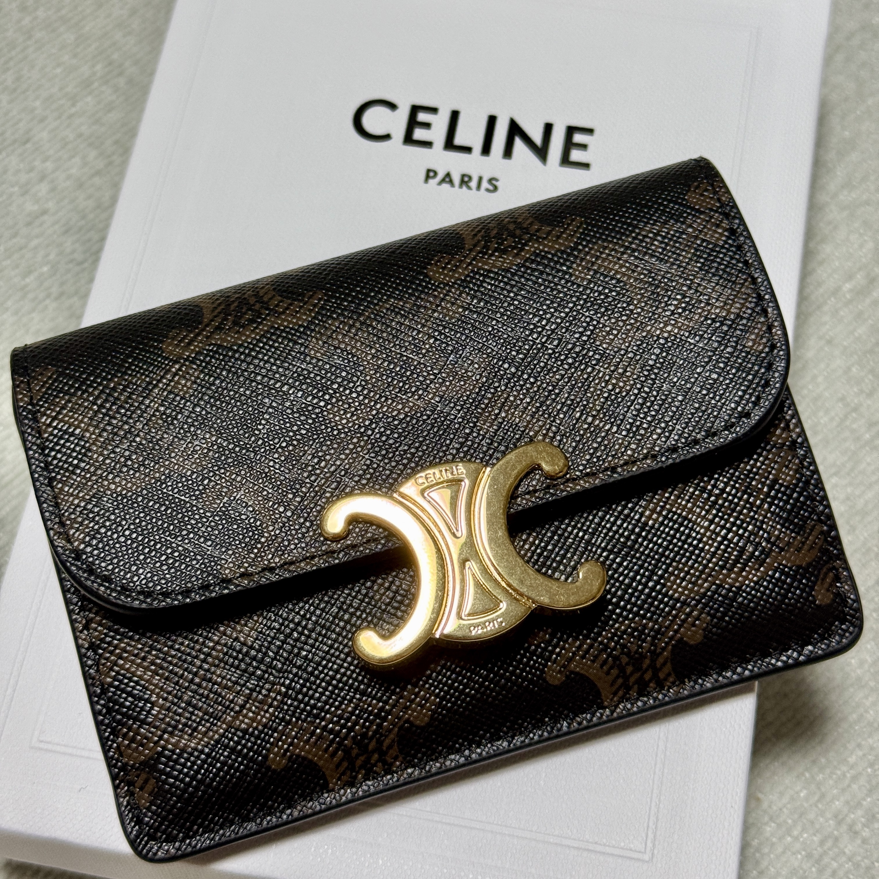 Celine Card Holder with Flap in Triomphe Canvas Tan 착용 스타일