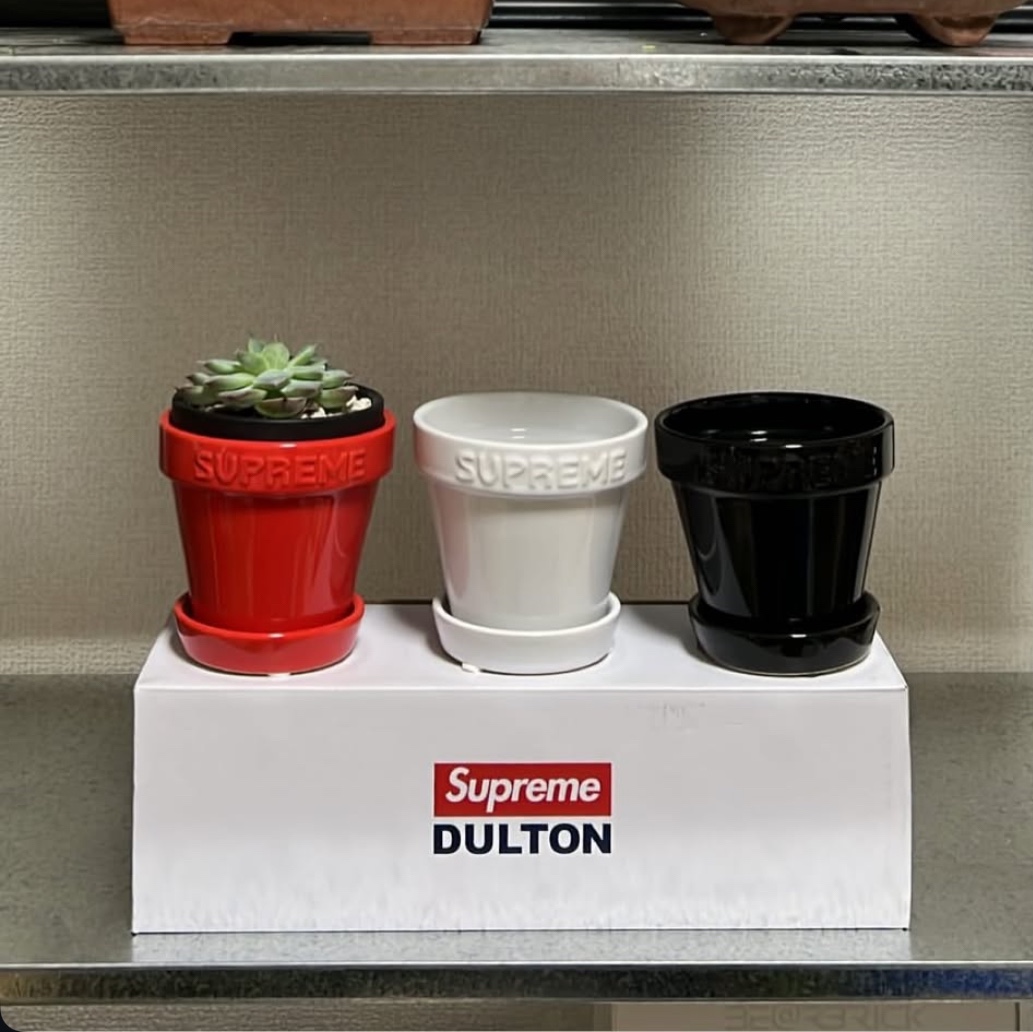 Supreme Mini Planters Multicolor (Set of 3) - 25SS 착용 스타일