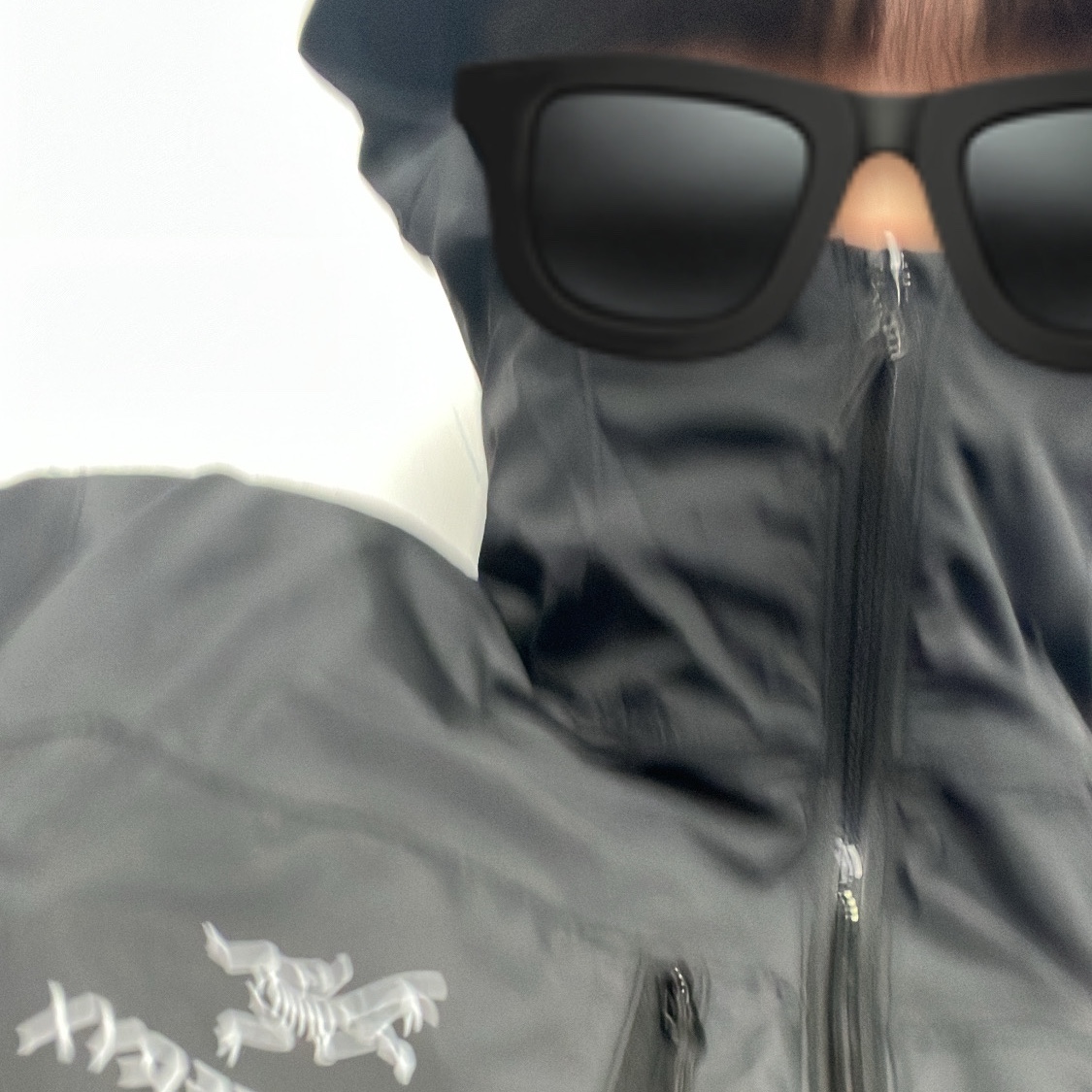 Arc'teryx Squamish Hoody Black 착용 스타일