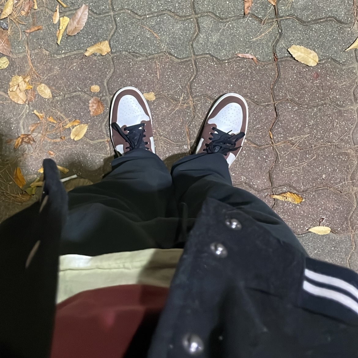 Jordan 1 Low SE Chocolate Bliss, Essentials Lounge Sweatpants Black - 24SS 착용 스타일