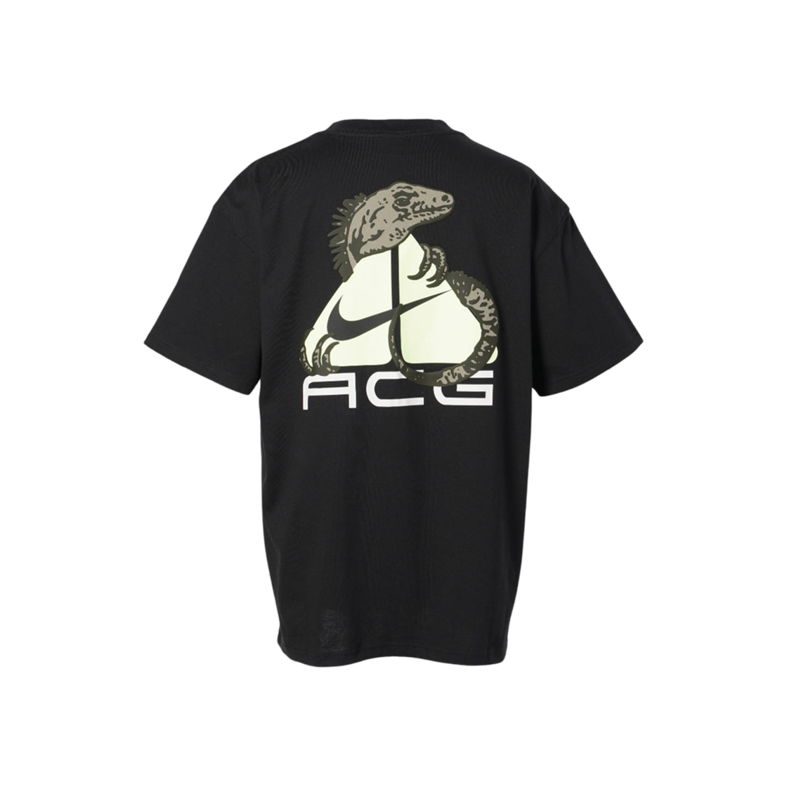 나이키 ACG 드라이핏 티셔츠 블랙 - 아시아 | Nike | KREAM