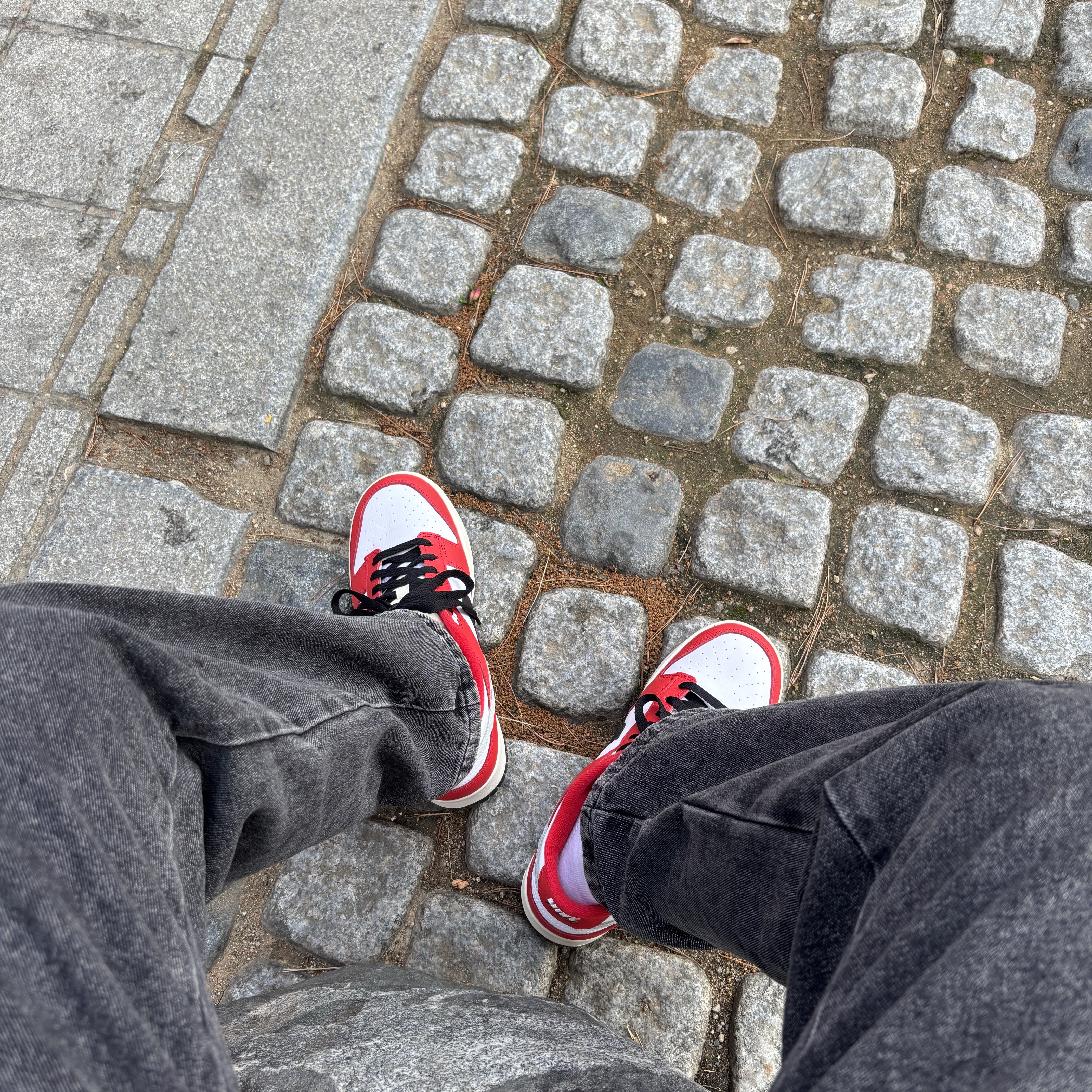 Nike Dunk Low Retro PRM University Red Black 착용 스타일