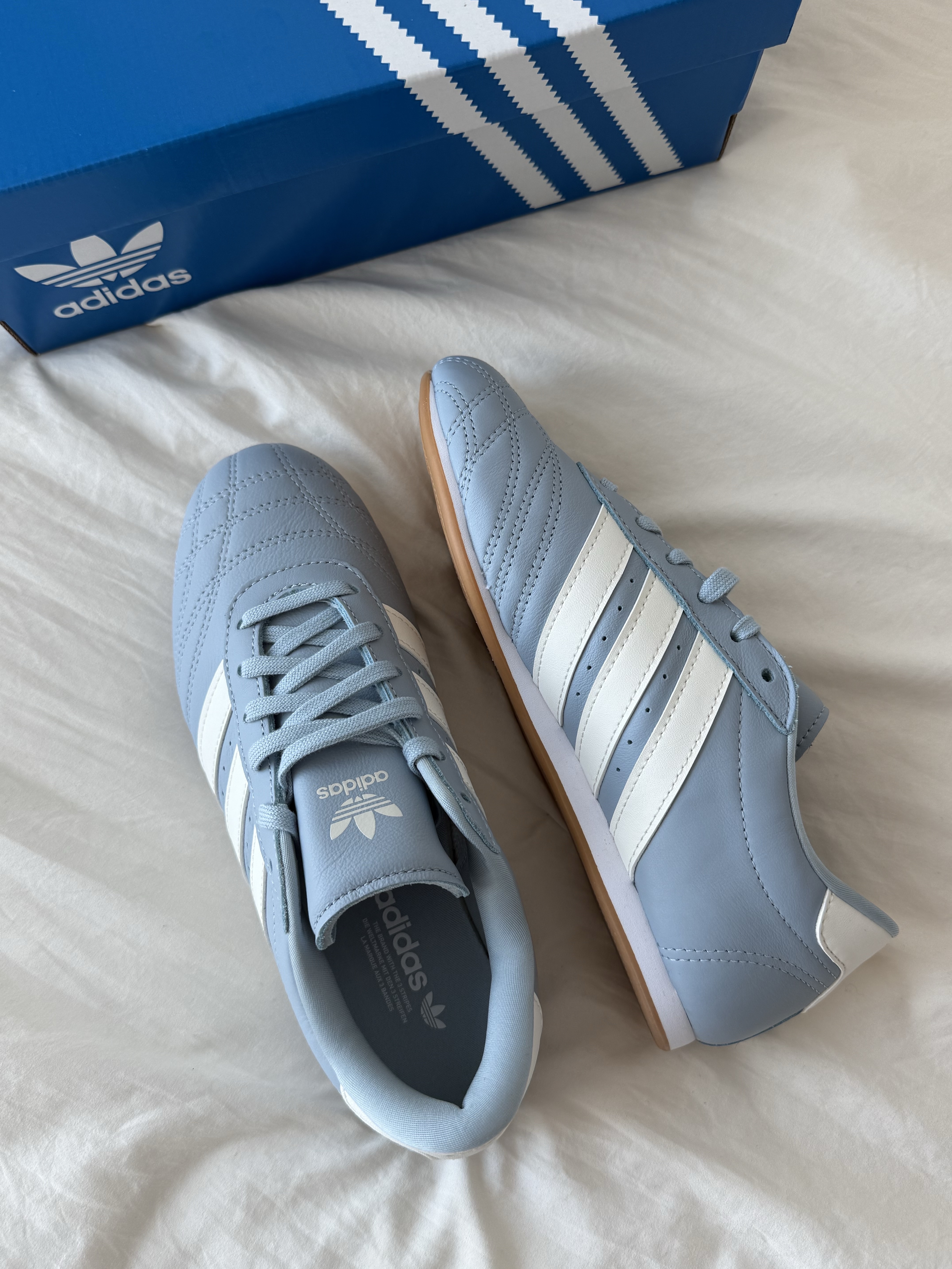(W) Adidas Taekwondo Lace Wonder Blue Off White 착용 스타일 - 1