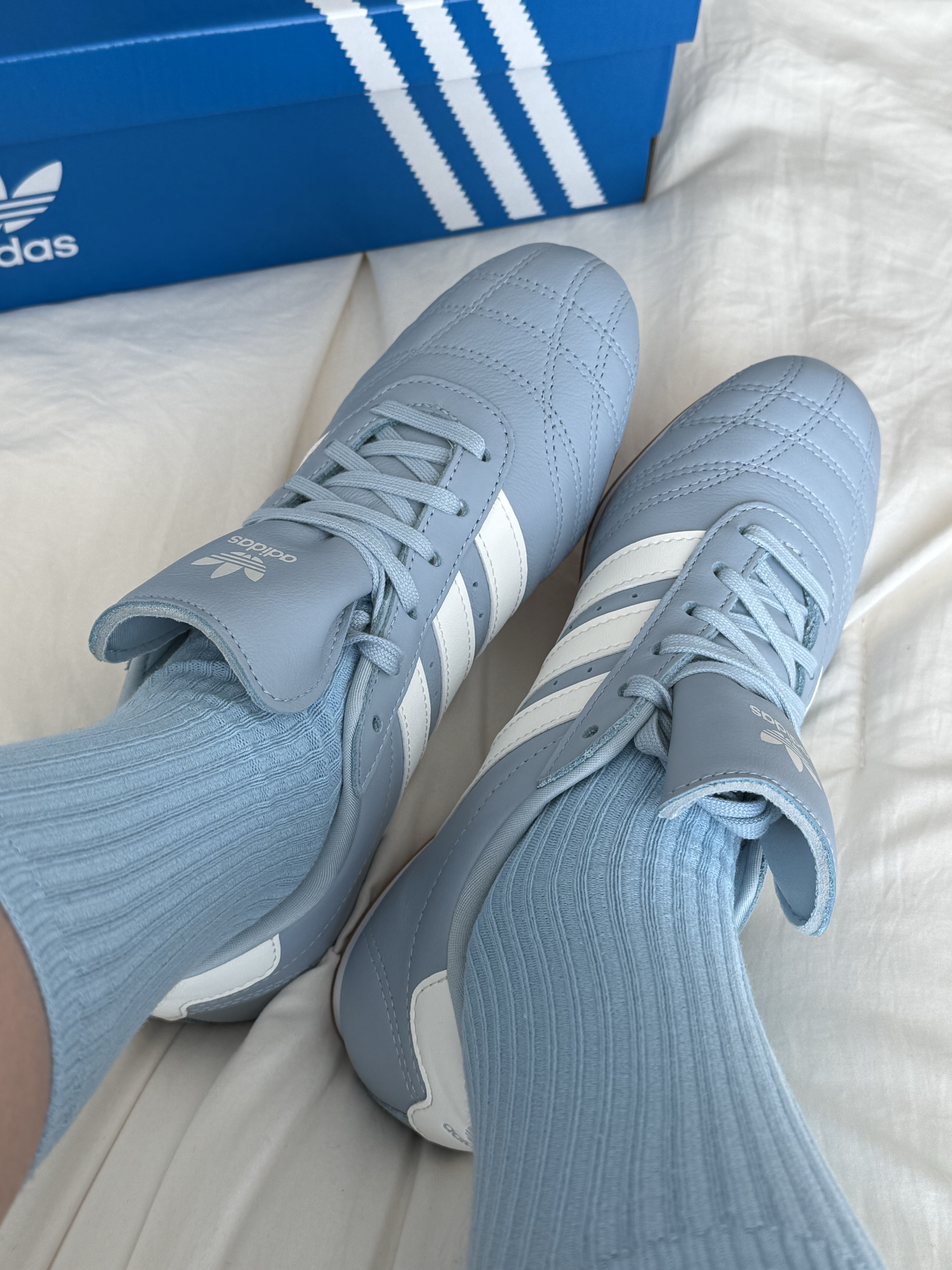 (W) Adidas Taekwondo Lace Wonder Blue Off White 착용 스타일 - 3