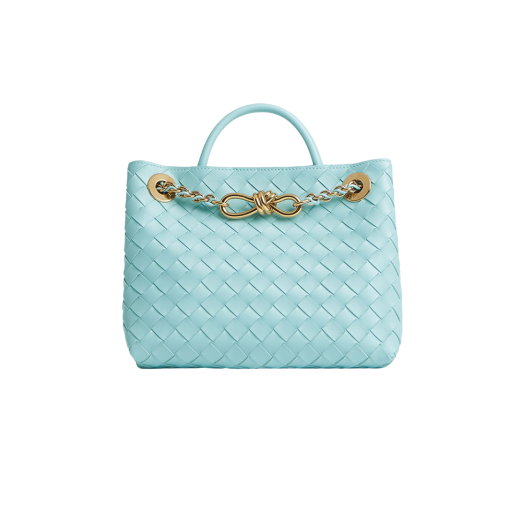 Bottega Veneta Small Andiamo Chain Zenith