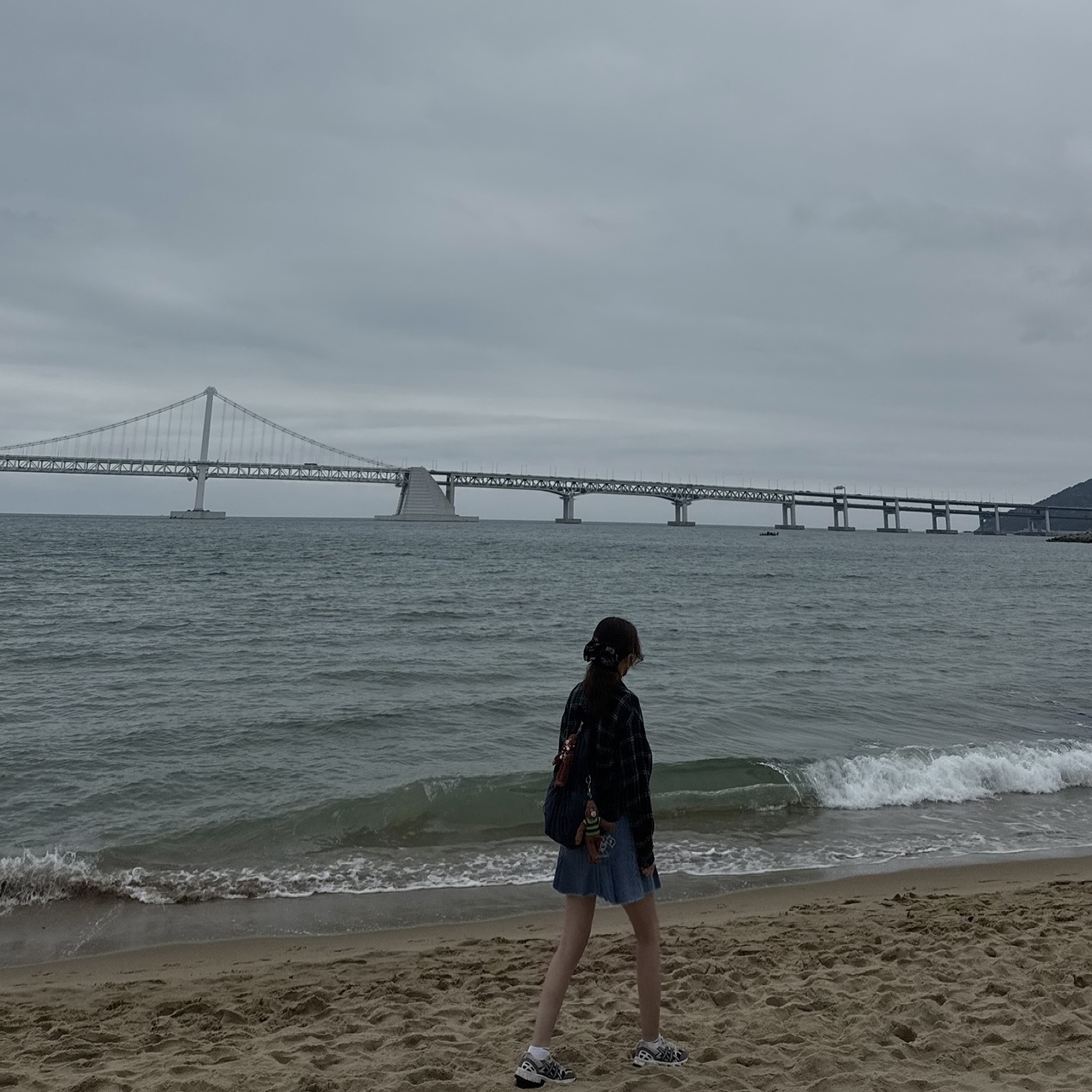 ์์
์ด๋ฏธ์ง