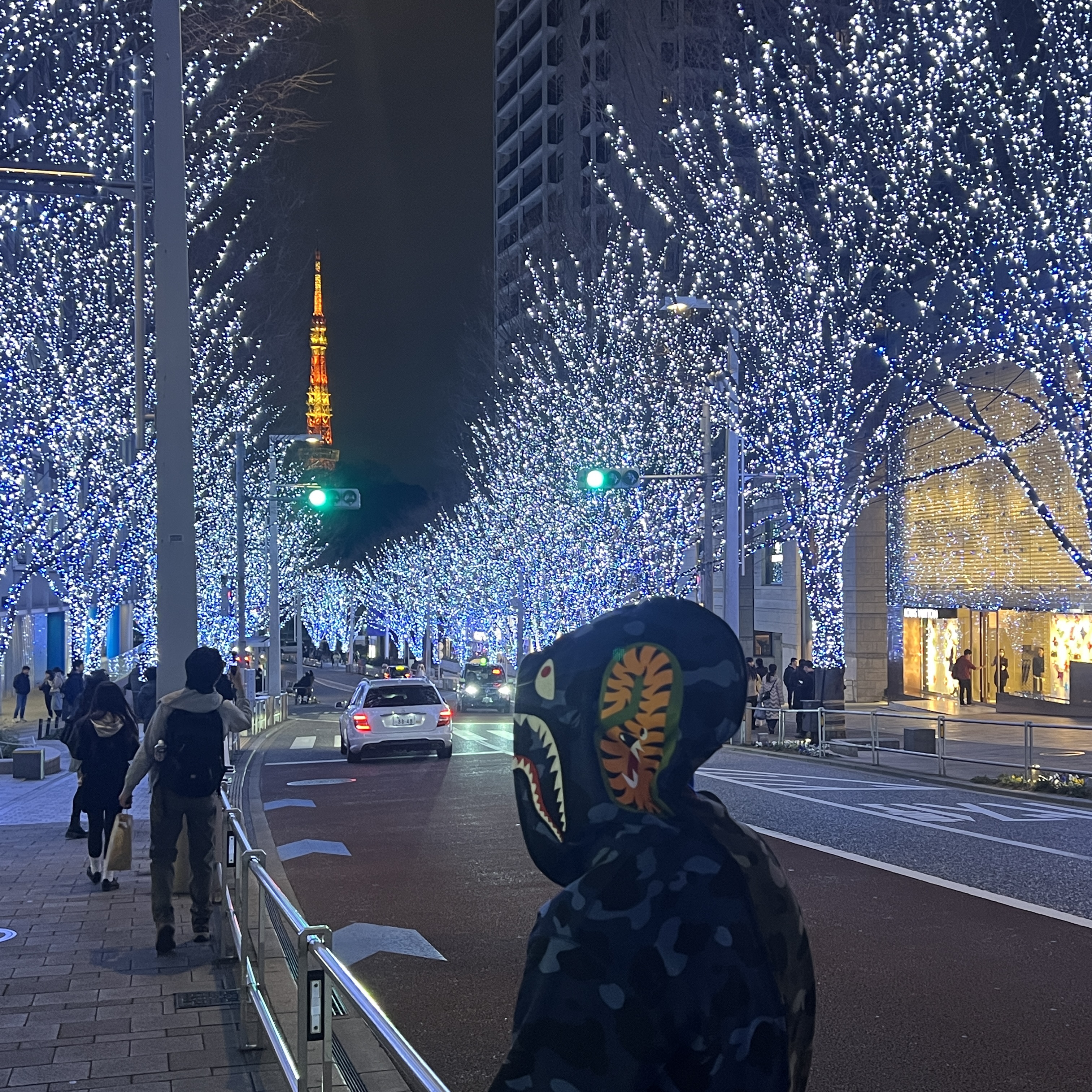 BAPE Color Camo Separate Shark Full Zip Hoodie Black Navy 착용 스타일