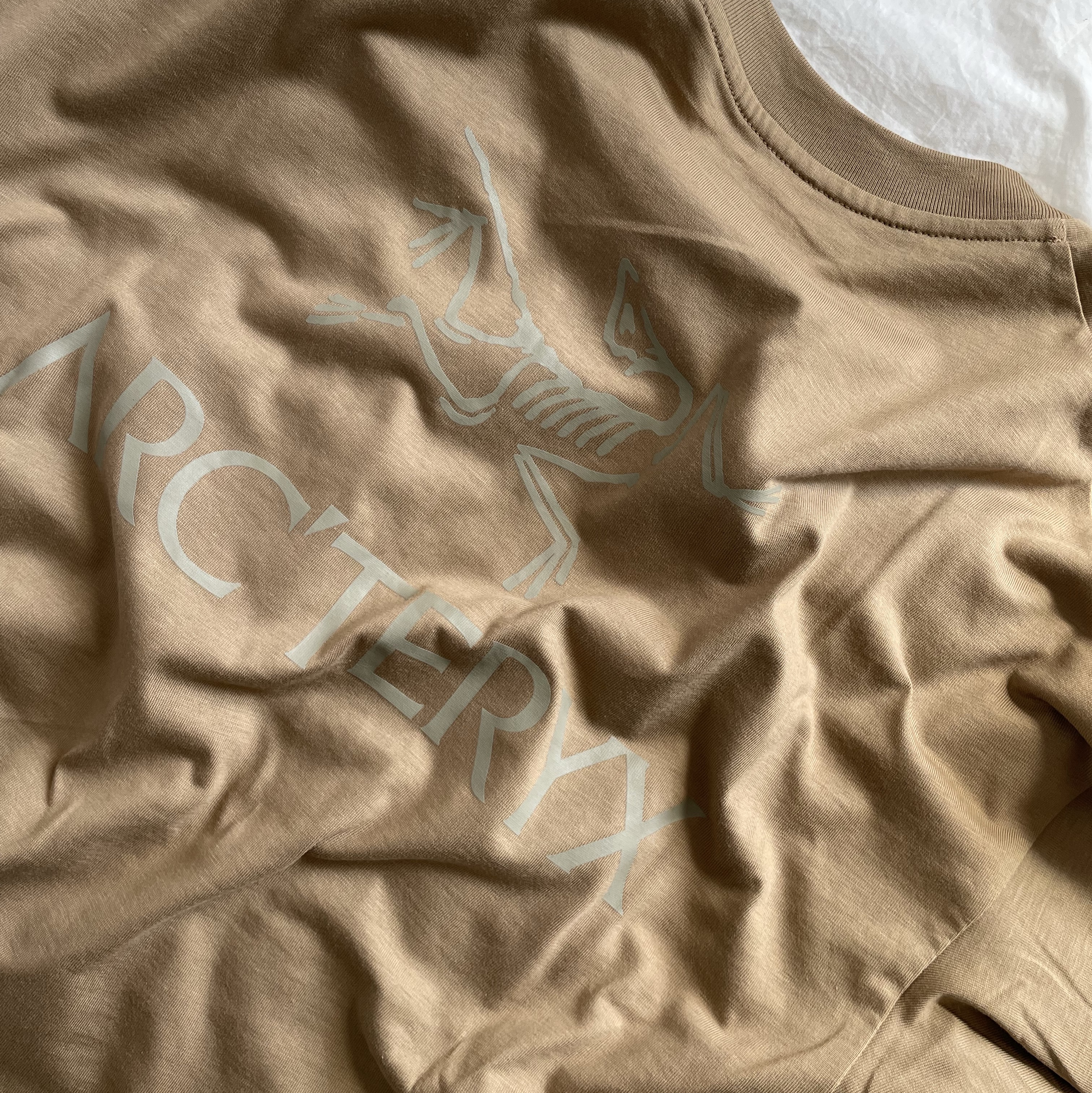 Arc'teryx Kragg SL Cotton Bird Word SS T-Shirt Canvas 착용 스타일