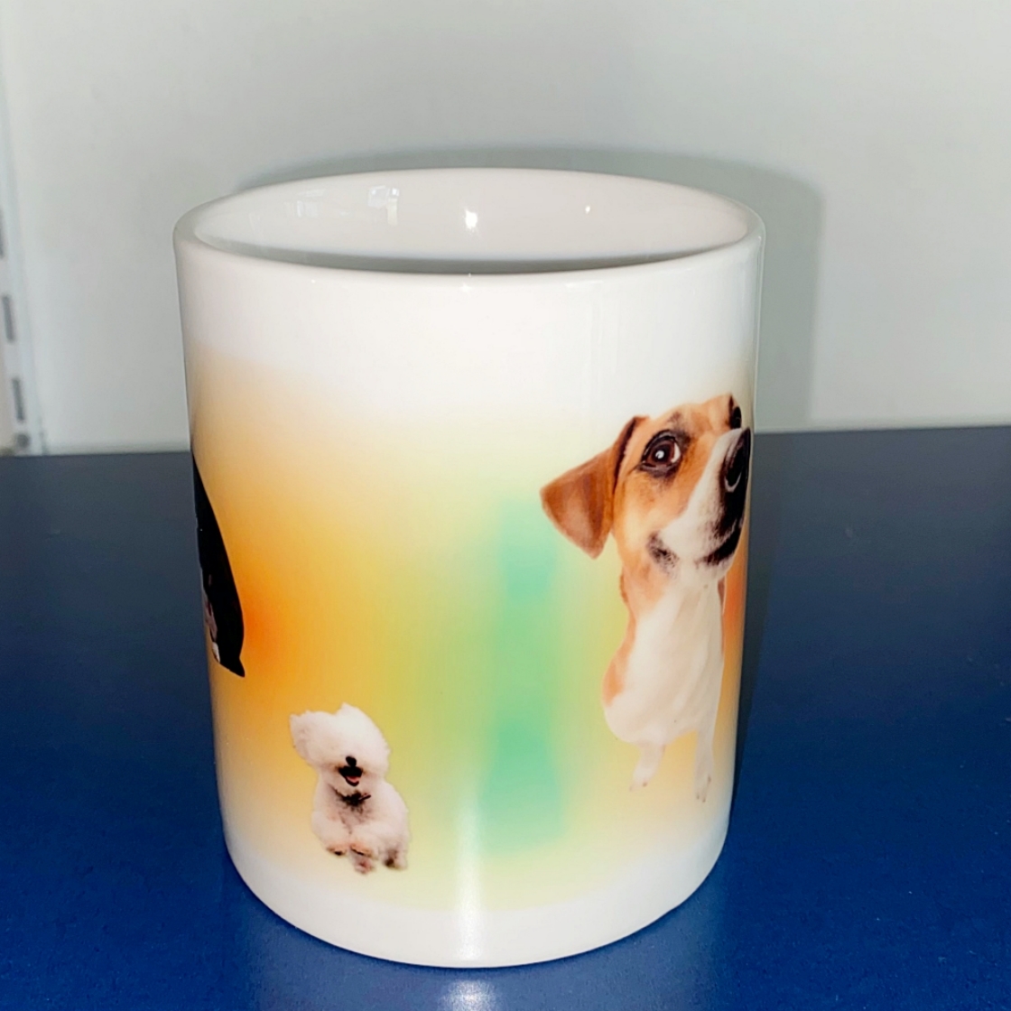유라이크왓 그라데이션 퍼피 머그 오렌지&그린([3% 포인트 적립] you like what Gradation Puppy Mug Orange&Green) - 4