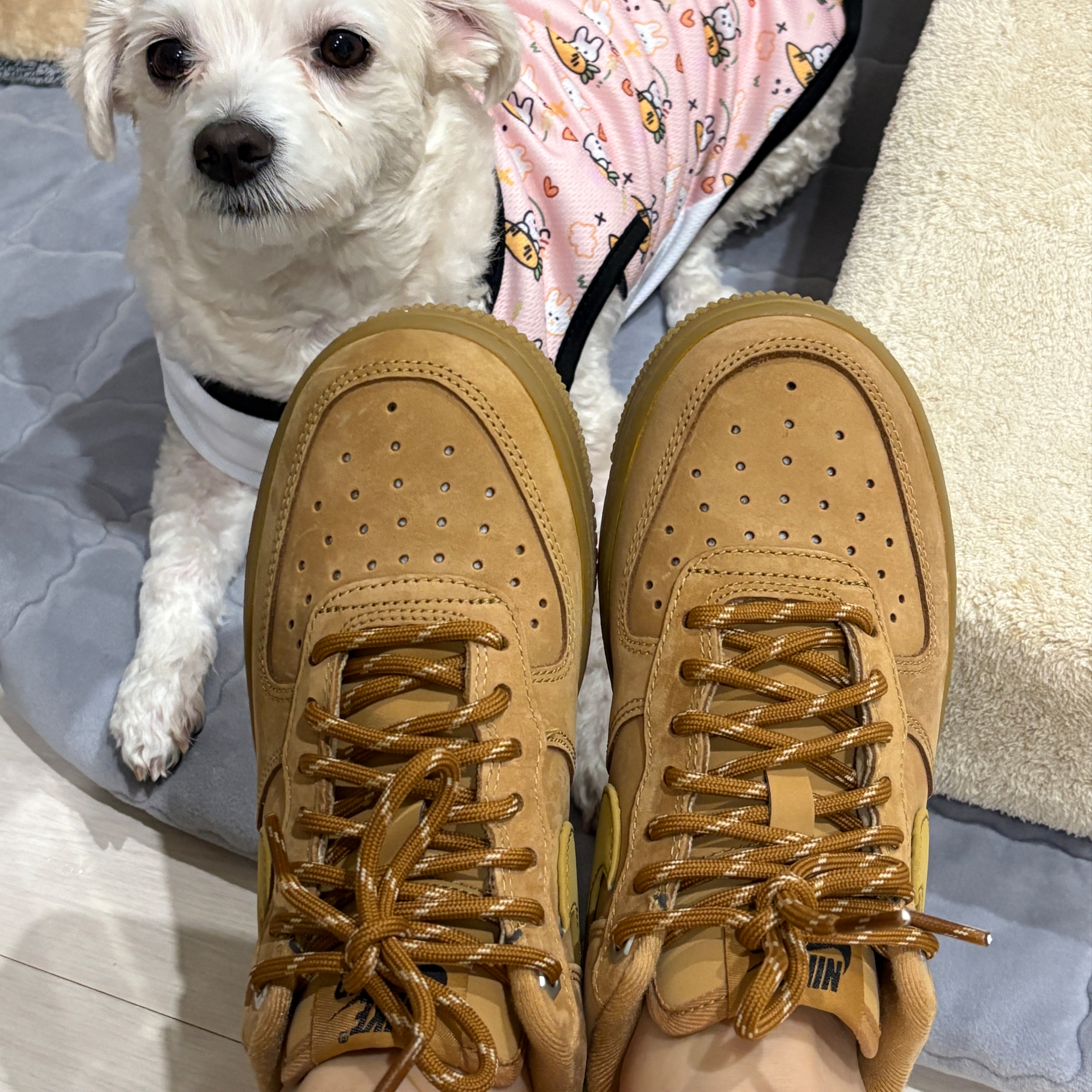 (W) Nike Air Force 1 '07 WB Flax Wheat 착용 스타일
