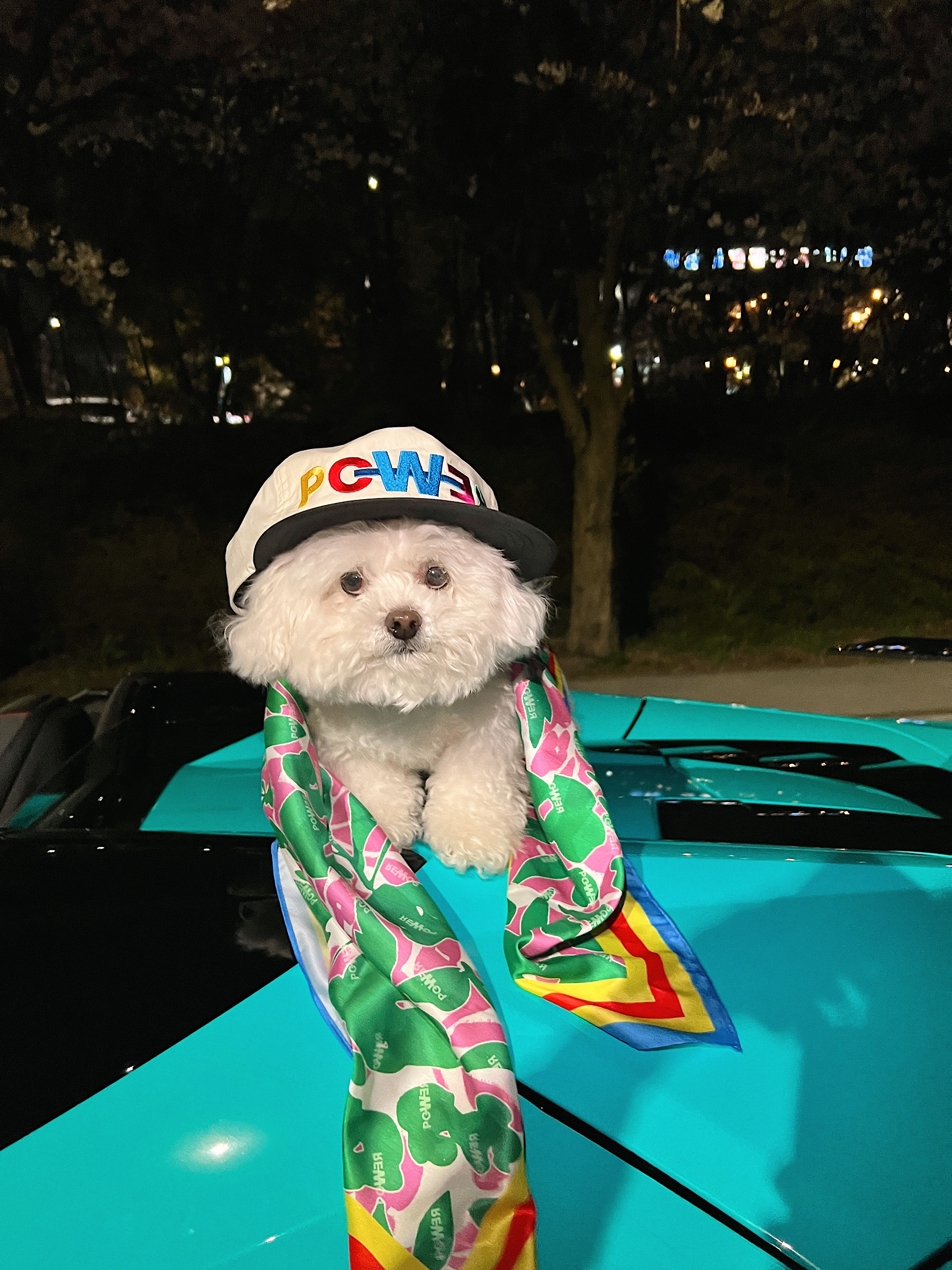 G-DRAGON Power Ball Cap White, G-DRAGON Power Scarf Multi 착용 스타일 - 9