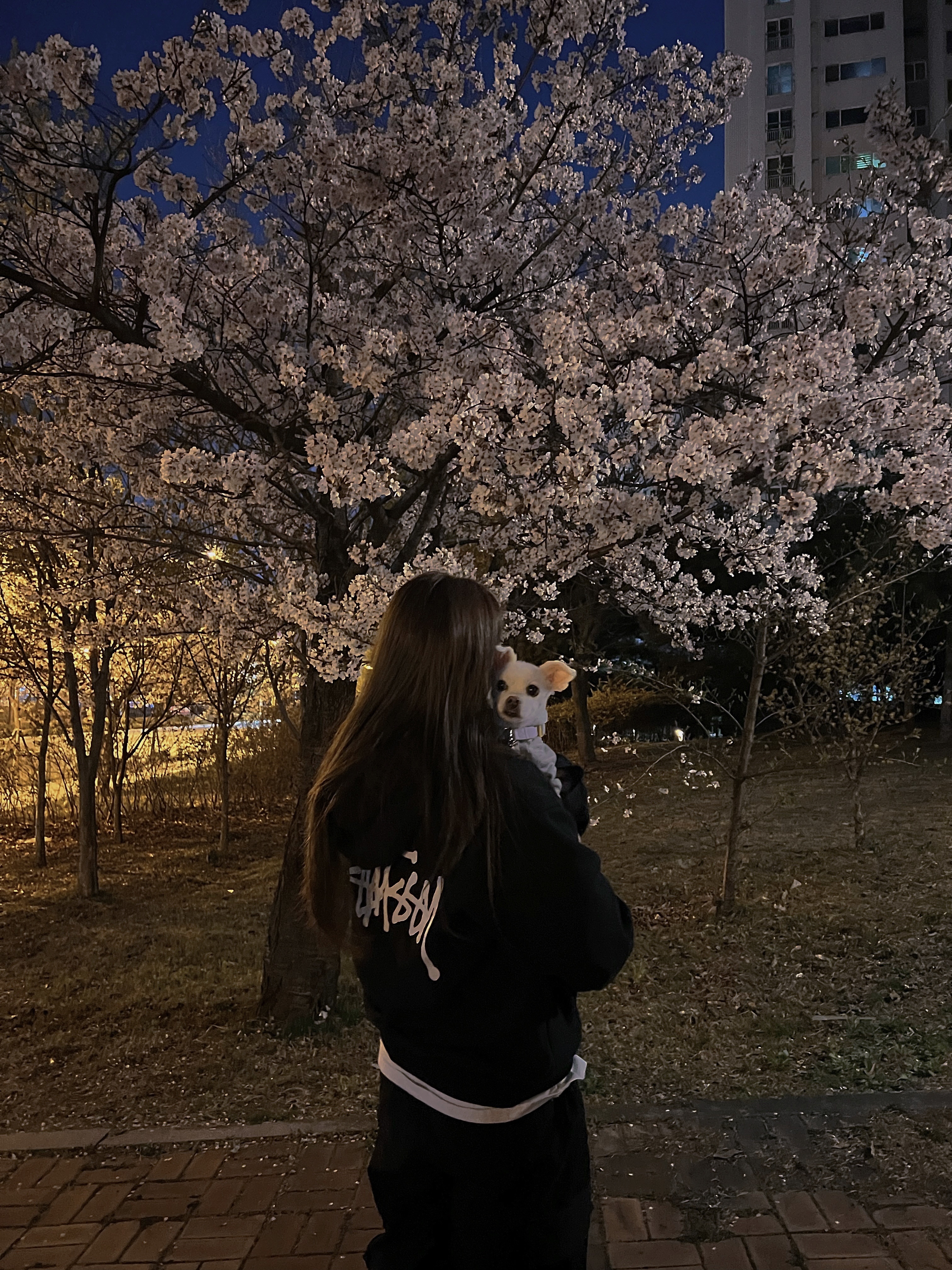 Stussy Basic Stussy Hoodie Black 착용 스타일