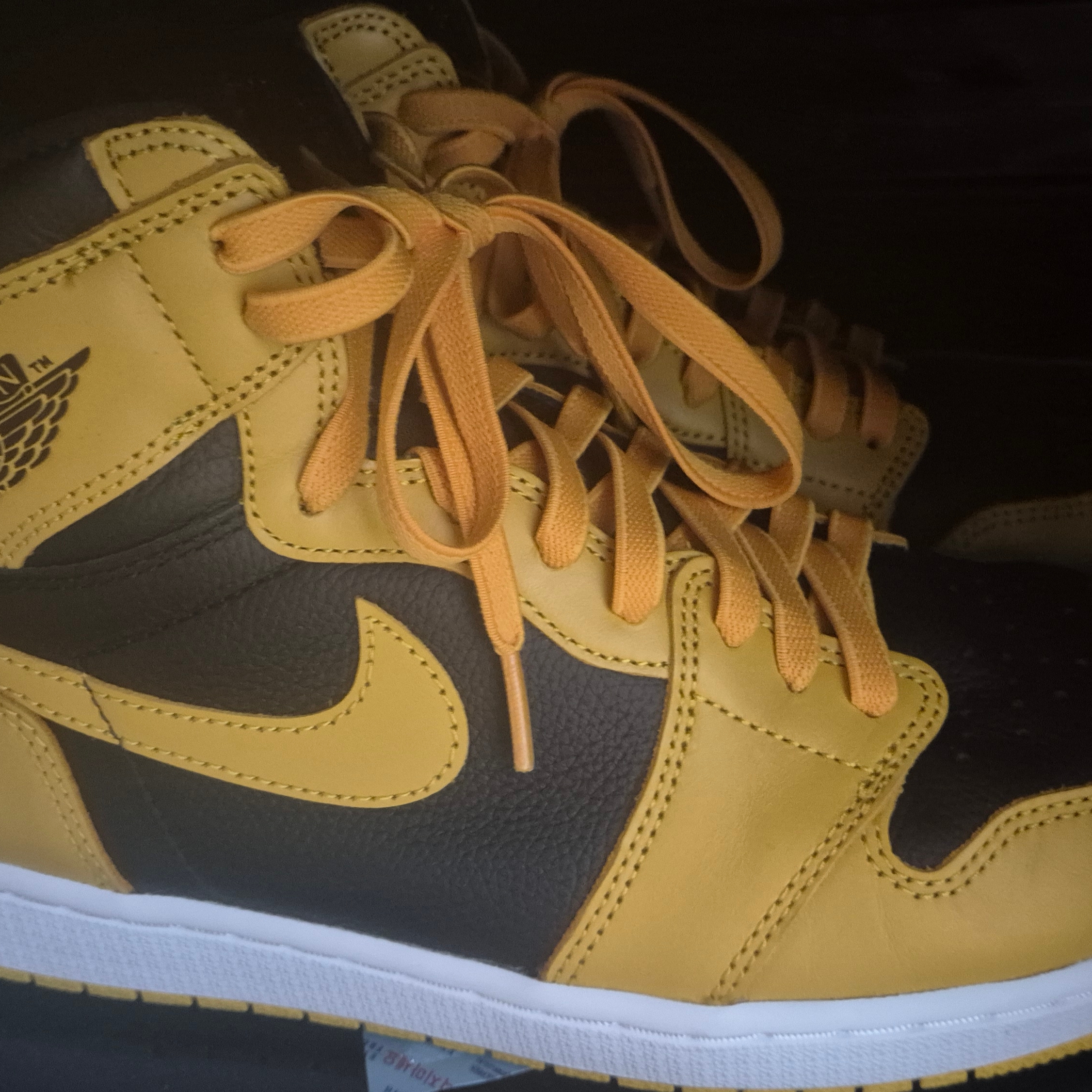 Jordan 1 Retro High OG Pollen 착용 스타일