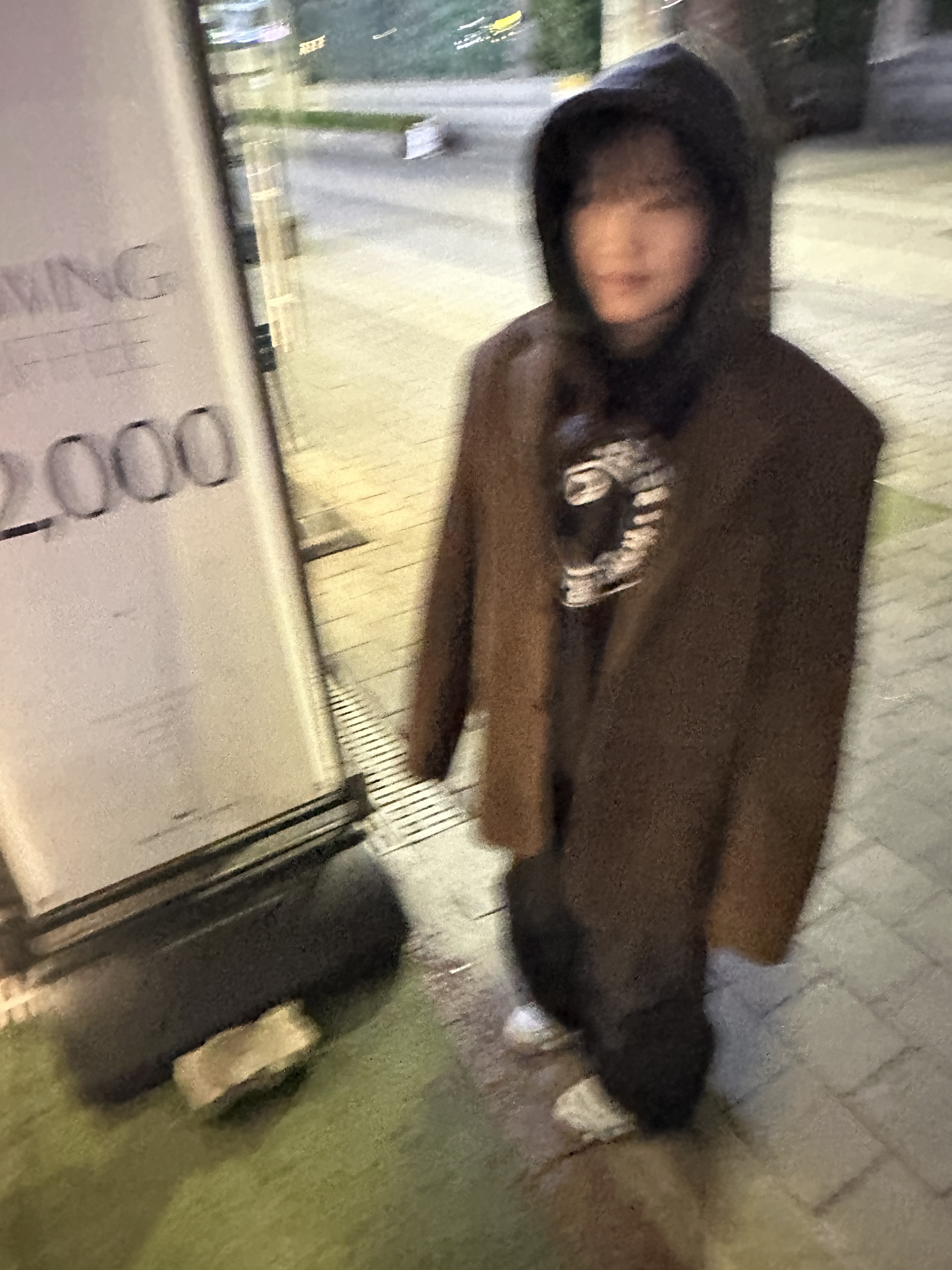 STU Goat Suede Blazer Brown, Stussy x Denim Tears Graphic Hoodie Black 착용 스타일