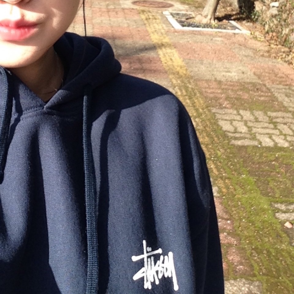 Stussy Basic Stussy Hoodie Navy 2023 착용 스타일