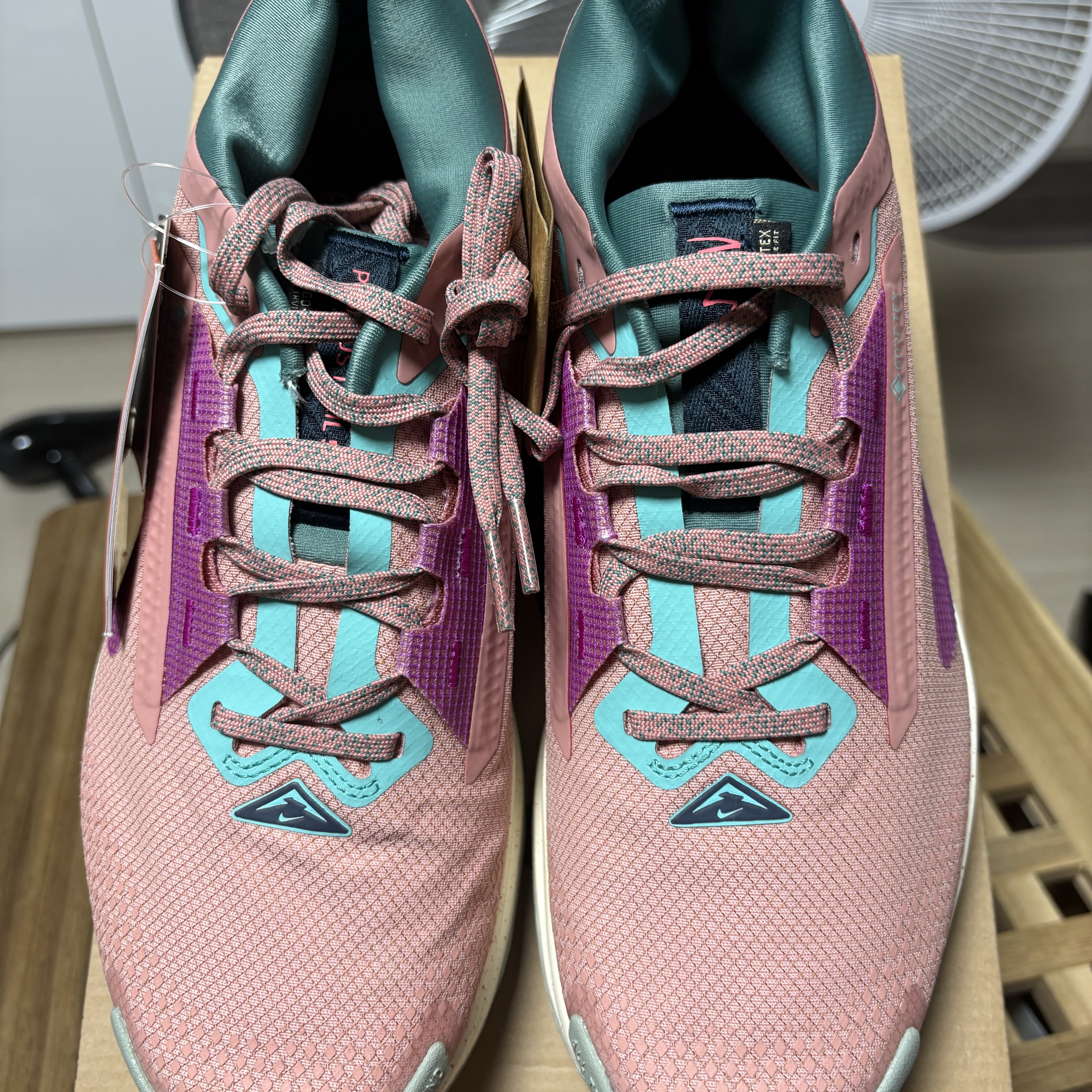 Nike Pegasus Trail 5 Gore-Tex Red Stardust Bicoastal 착용 스타일 - 4