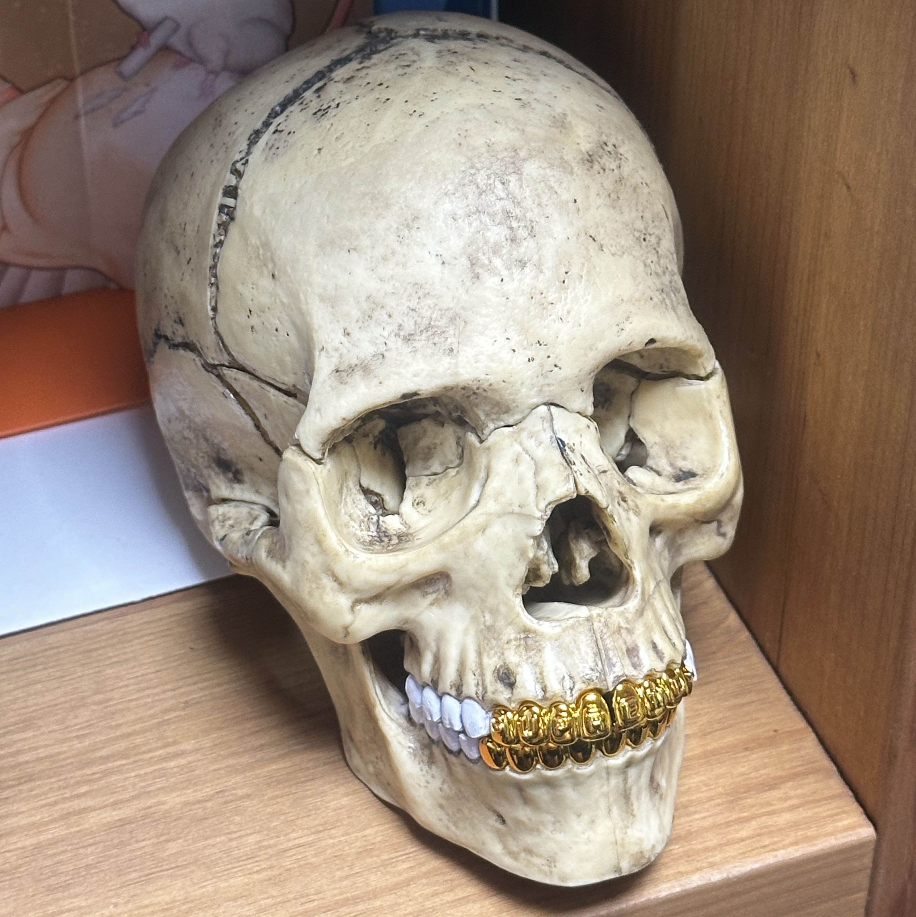 Supreme 4D Model Human Skull Natural - 23FW 착용 스타일 - 2