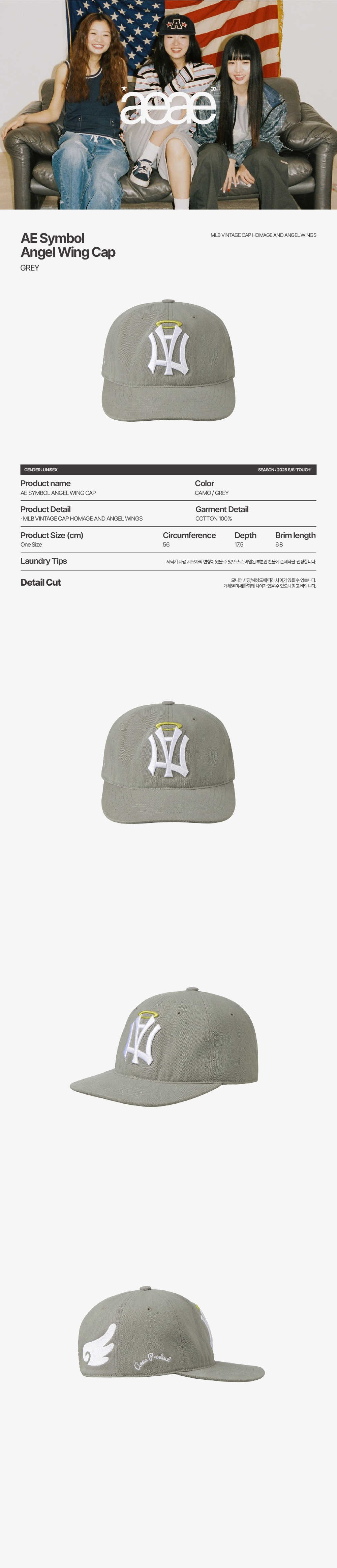 aeae AE SYMBOL ANGEL WING CAP（gray） MUSINSA | AEAE AE SYMBOL ANGEL WING CAP [GREY]