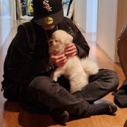 KREAM 프로필 이미지