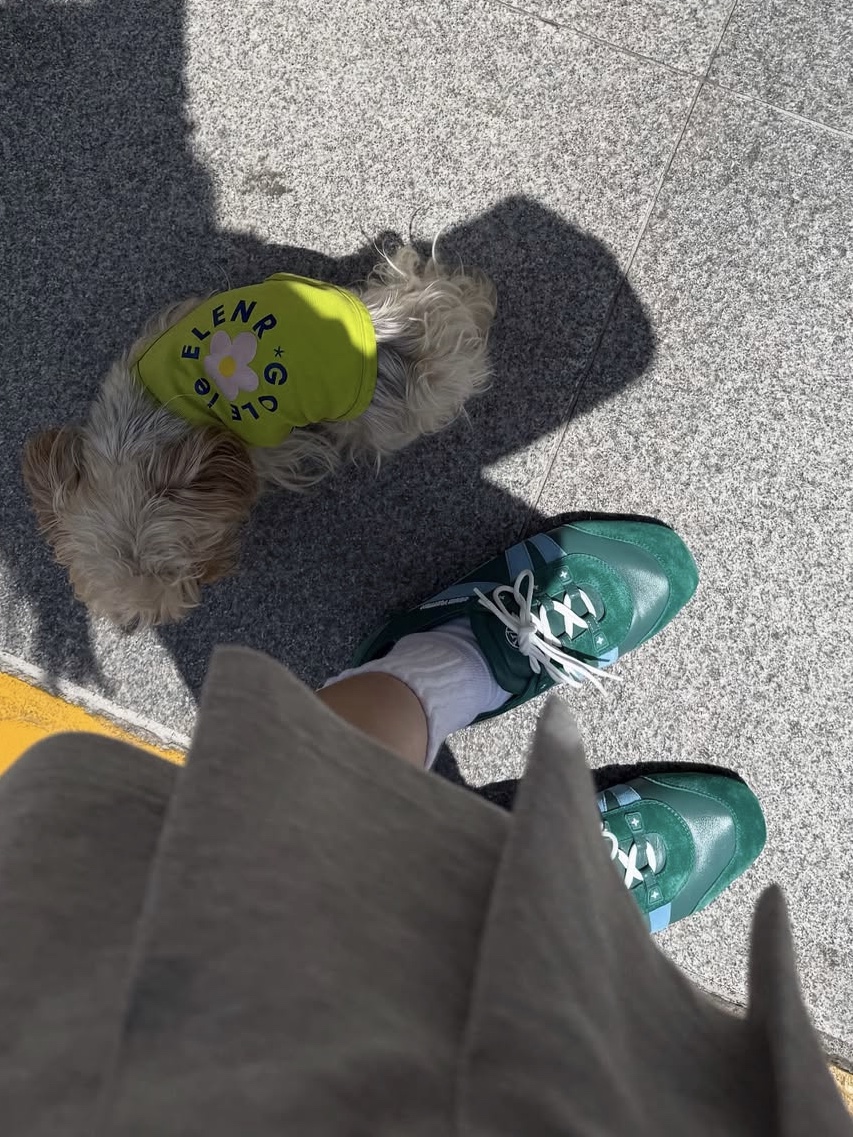 (W) Louis Vuitton LV Sneakerina Vert, Louis Vuitton Nice Mini Toiletry Pouch Monogram 착용 스타일 - 2