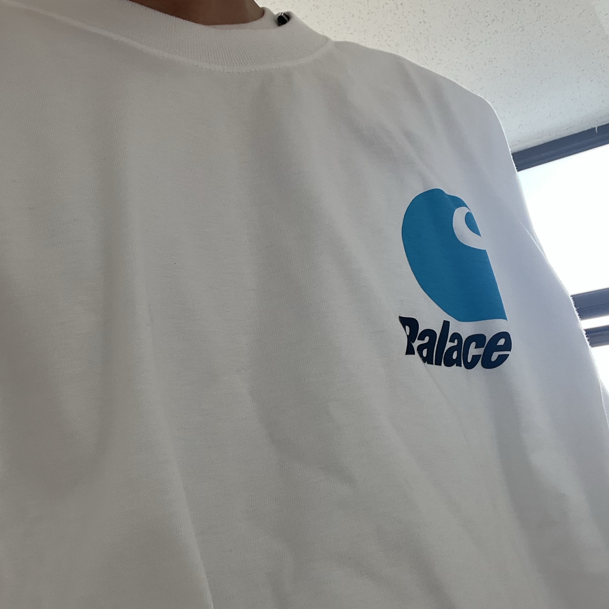 Palace x Carhartt WIP Logo Longsleeve White - 24FW 착용 스타일