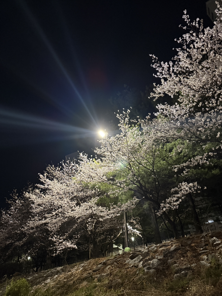 관심 유저 프로필 이미지
