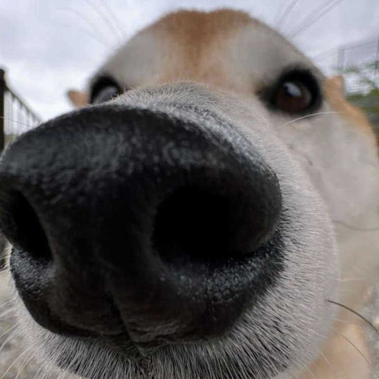 관심 유저 프로필 이미지
