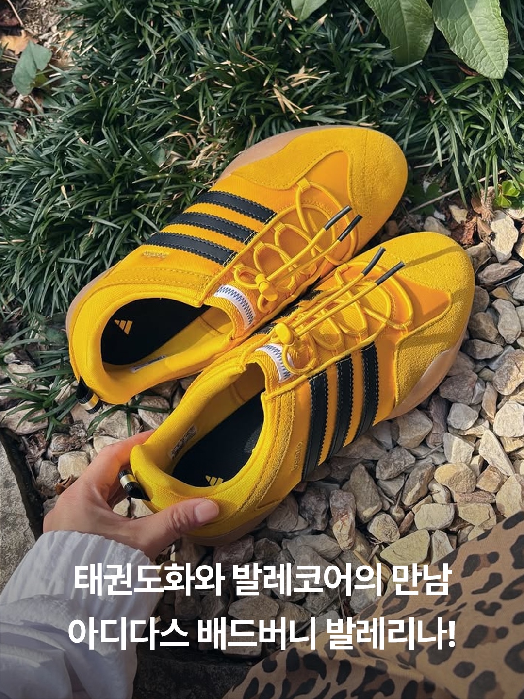 Adidas x Bad Bunny Ballerina Bold Gold Core Black, Adidas x Bad Bunny Ballerina Off White Core Black 착용 스타일 - 2