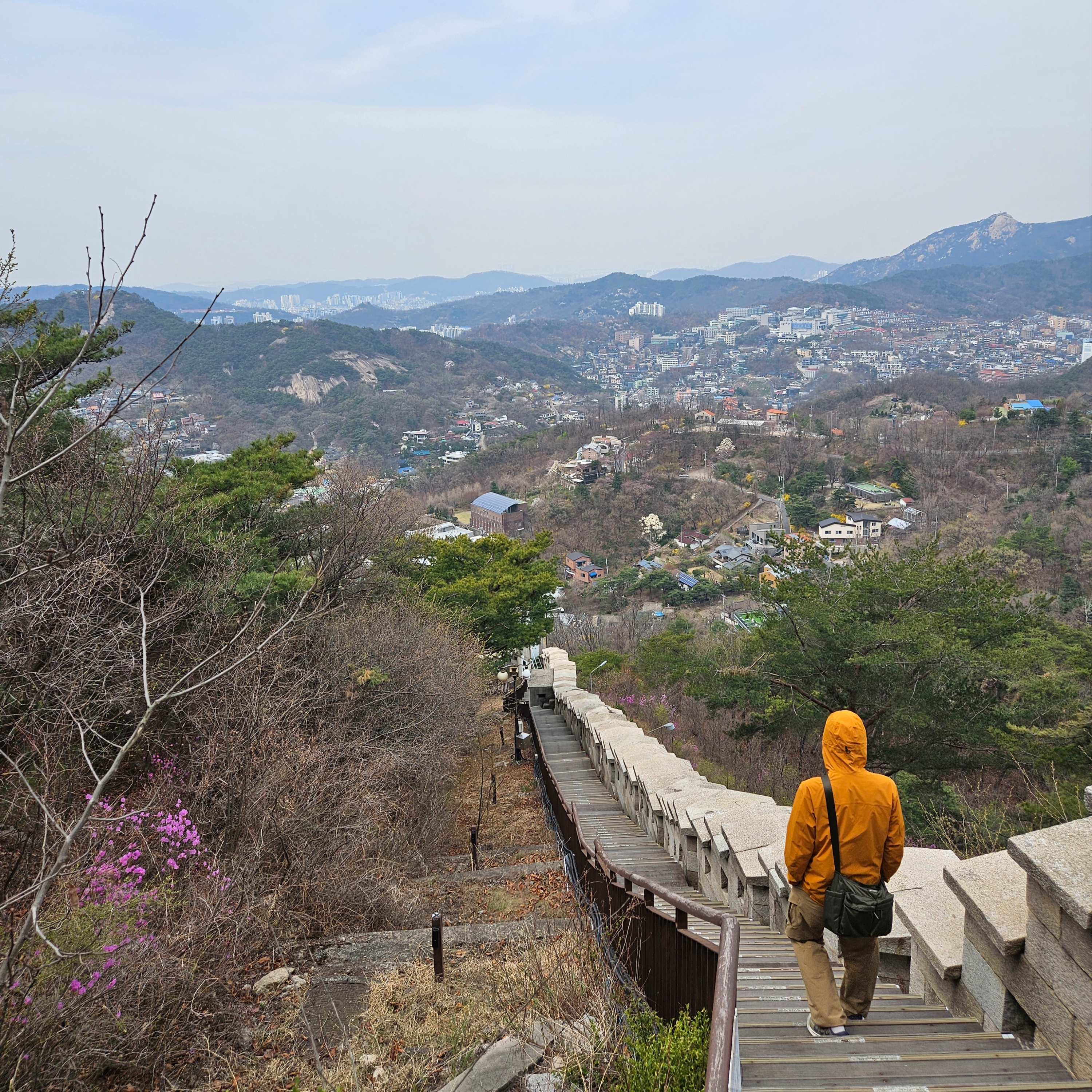Arc'teryx Gamma SL Hoody Revel, Arc'teryx Rampart Pants Canvas 착용 스타일 - 2