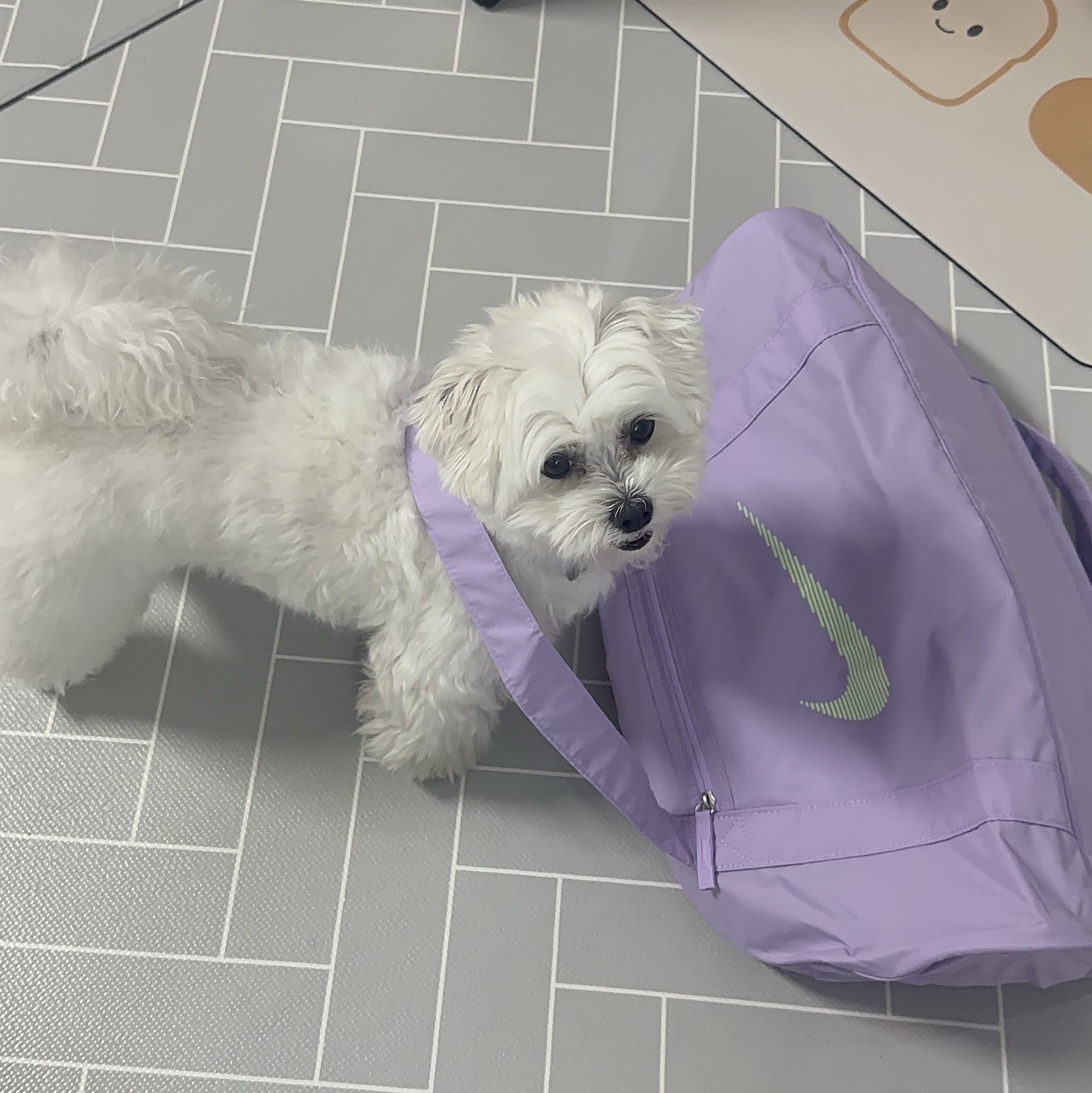Nike Gym Club Duffle Bag 24L Lilac Bloom 착용 스타일