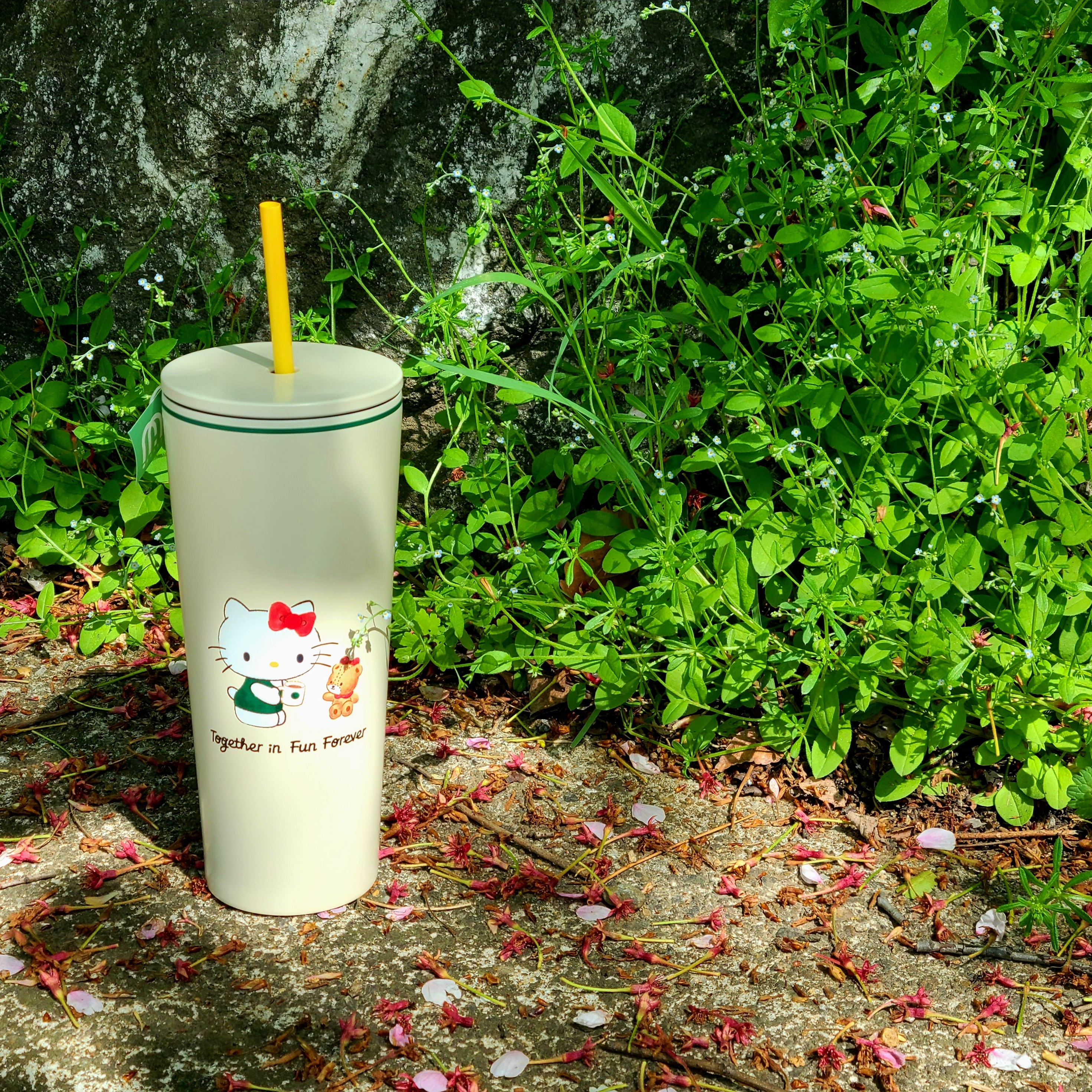 Starbucks x Hello Kitty SS Cold Cup 473ml 착용 스타일 - 6