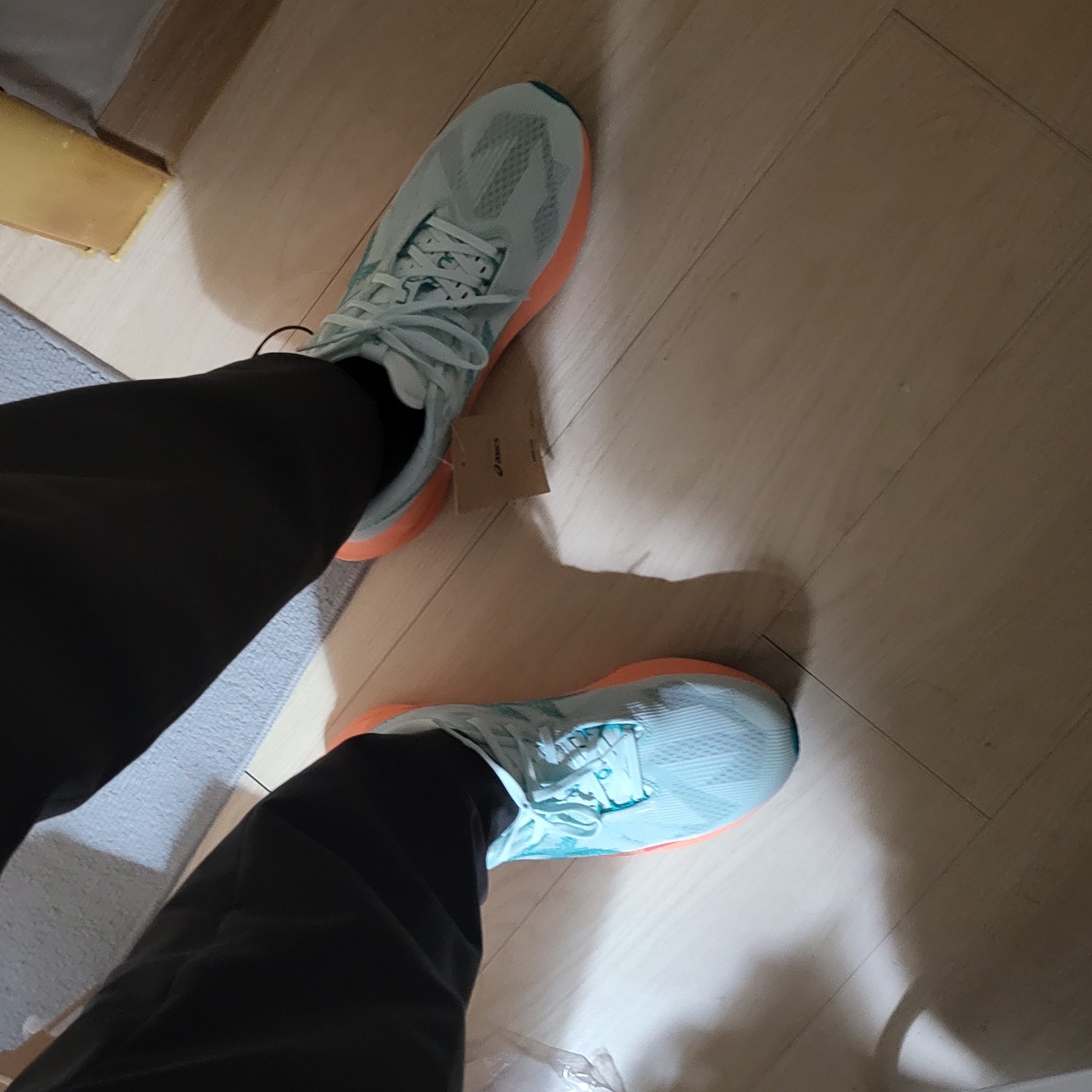 Asics Novablast 5 Soothing Sea Wave Teal 착용 스타일