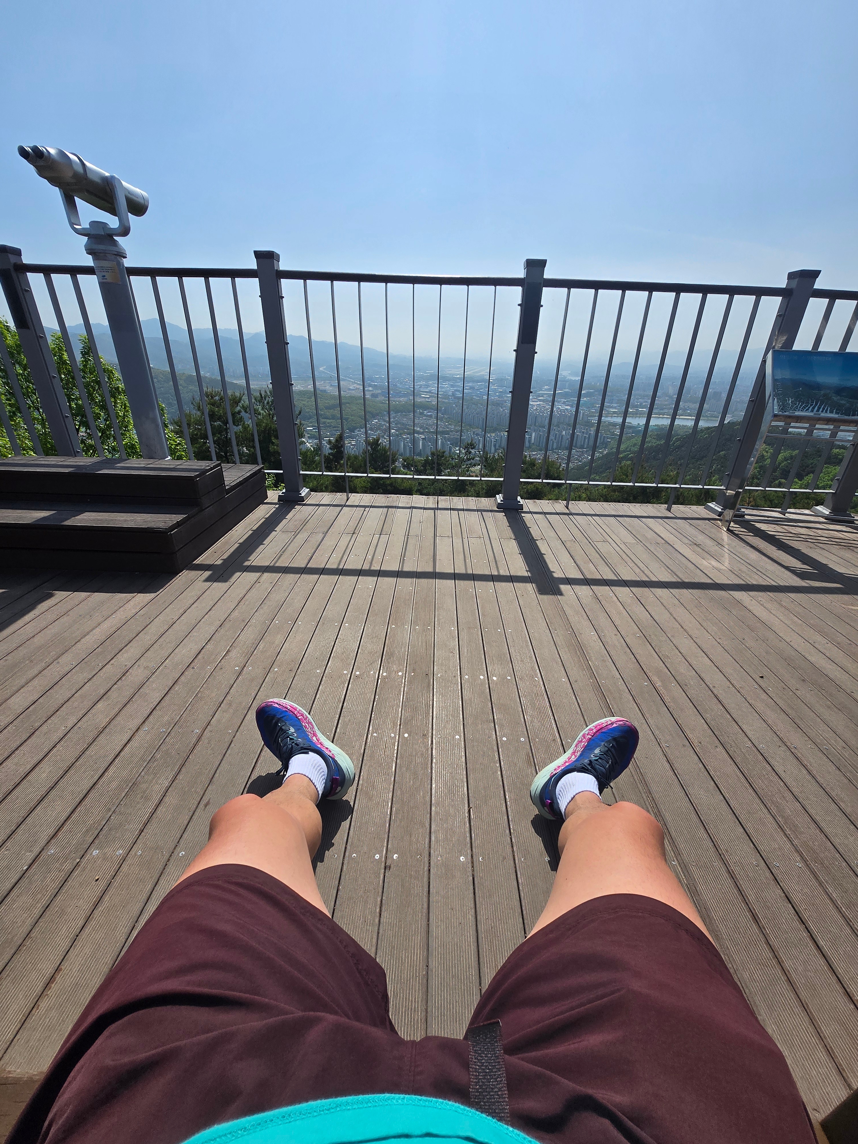 Nike NRG ACG Trail Shorts Earth - Asia 착용 스타일