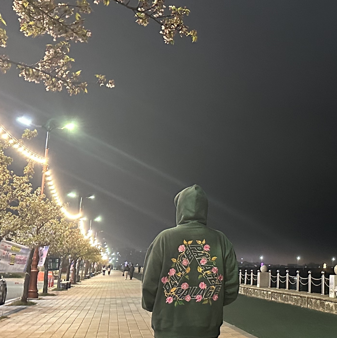Palace Rose P3 Hood Racey Green - 25SS 착용 스타일