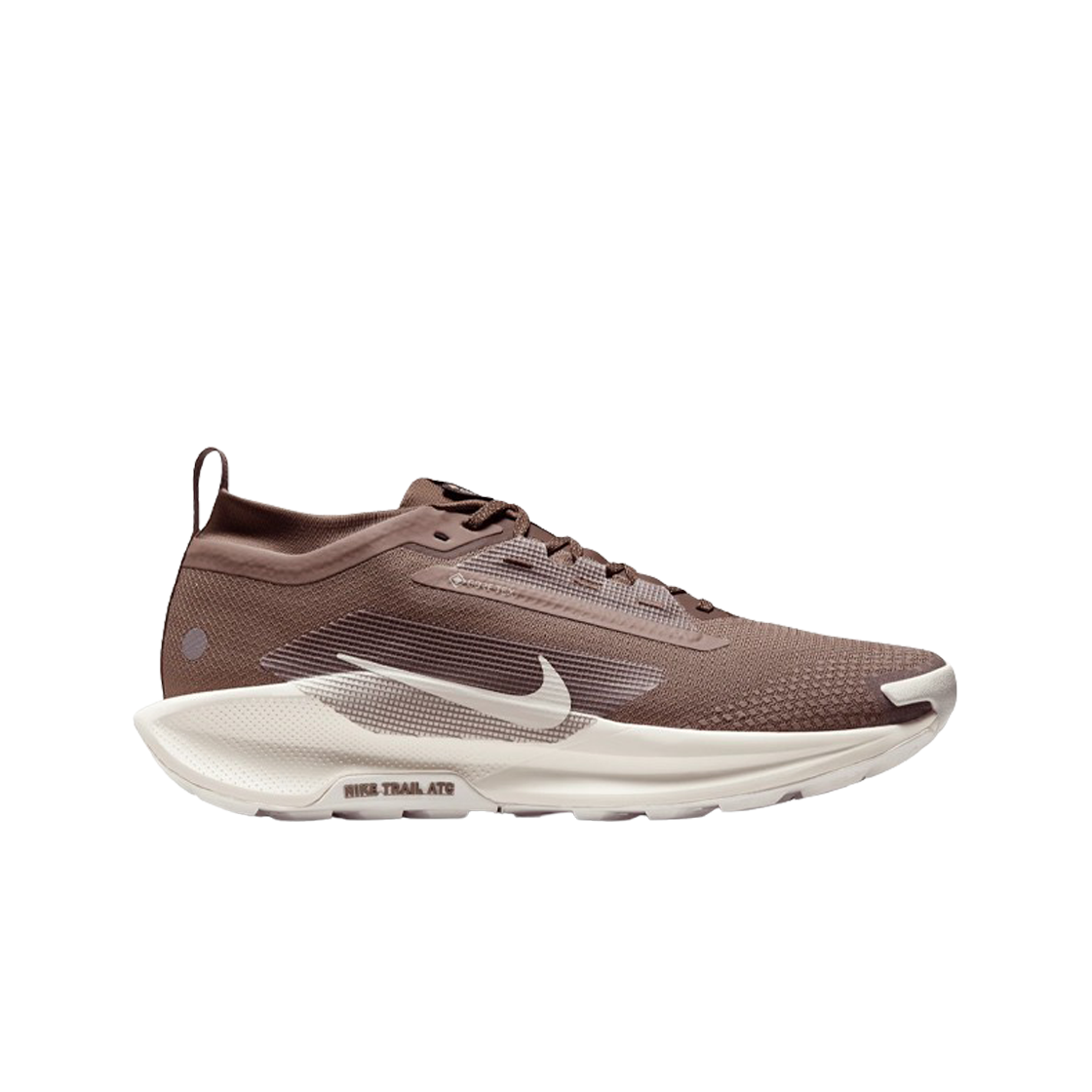 나이키 페가수스 트레일 5 고어텍스 밍크 브라운 앤 바로크 브라운(Nike Pegasus Trail 5 Gore-tex Mink Brown and Baroque Brown)