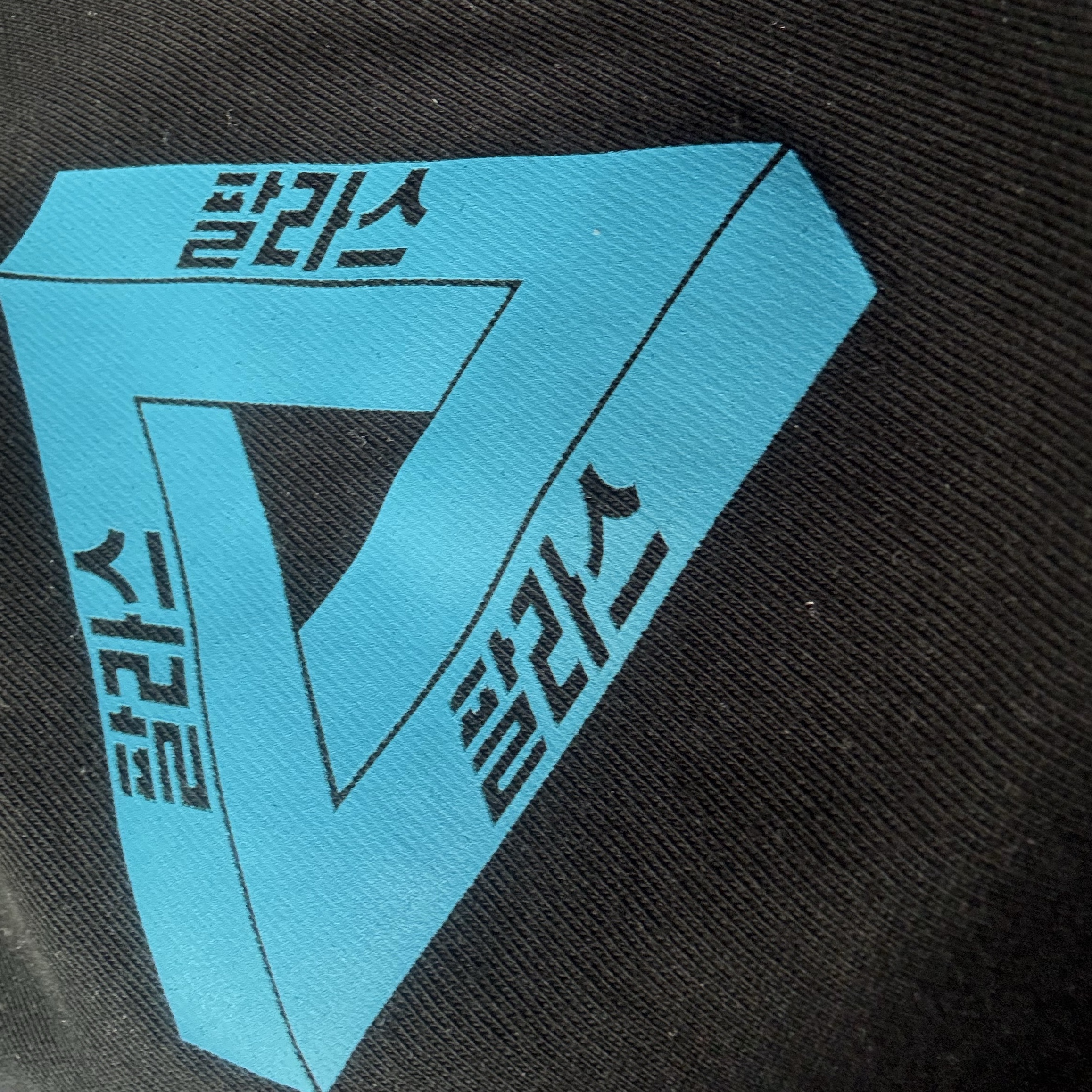 Palace Seoul 2 Seoul Tri-Ferg T-Shirt Black - 25SS 착용 스타일