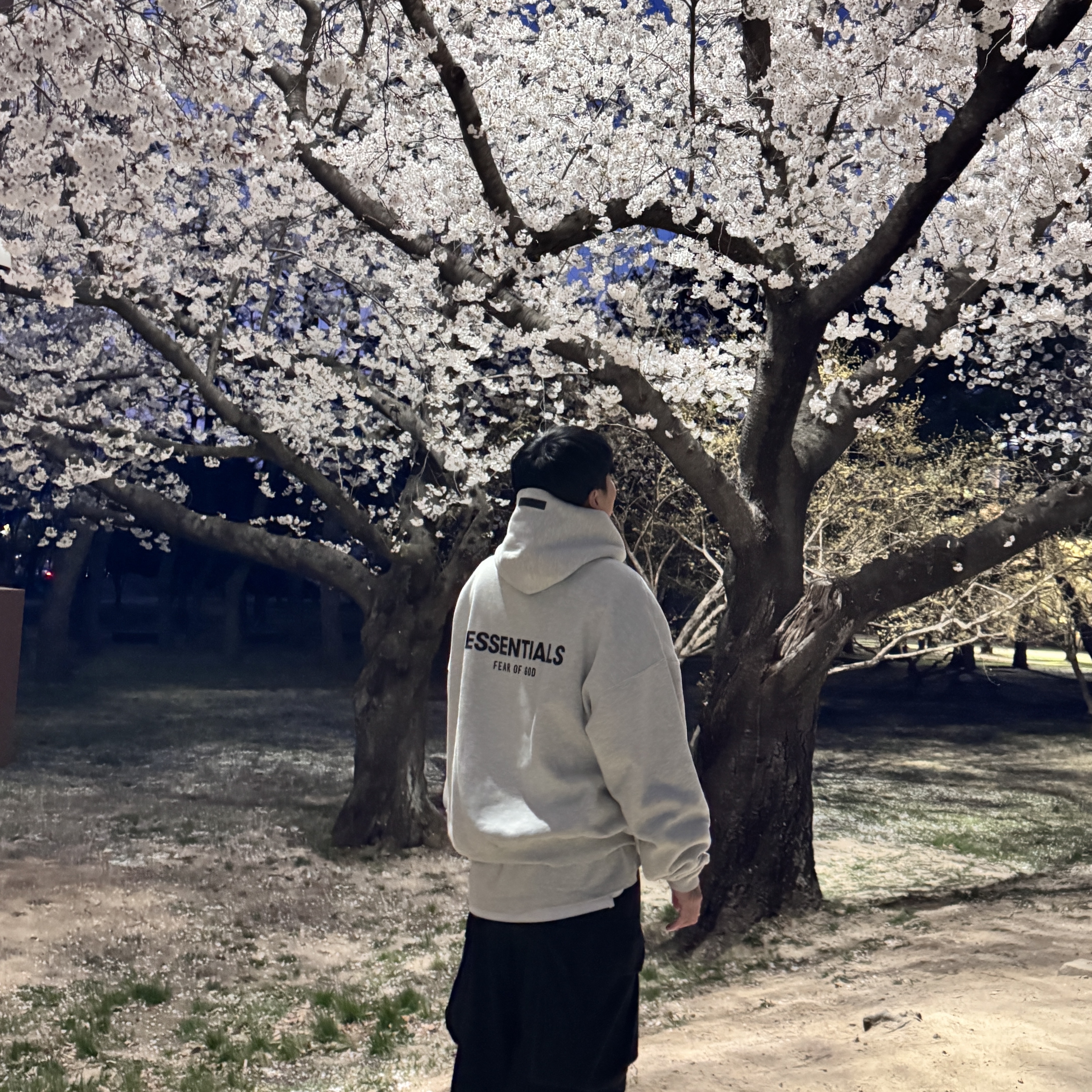 Essentials The Core Collection Hoodie Light Oatmeal 착용 스타일