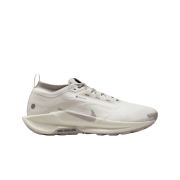 Nike Pegasus Trail 5 Gore-tex Summit White and College Grey