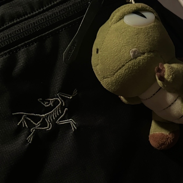 Arc'teryx Heliad 10 Backpack Black 착용 스타일