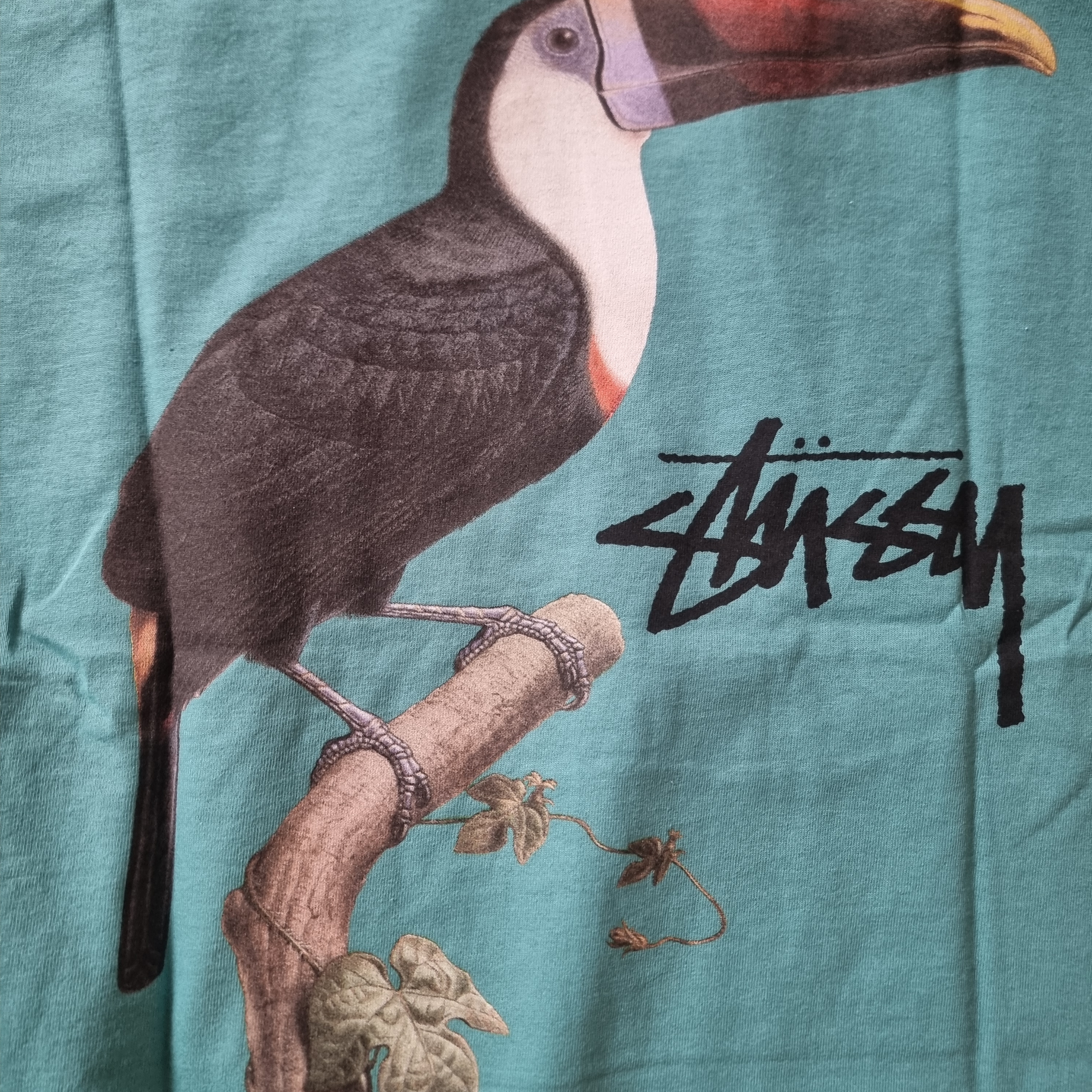 Stussy Toucan T-Shirt Ocean 착용 스타일