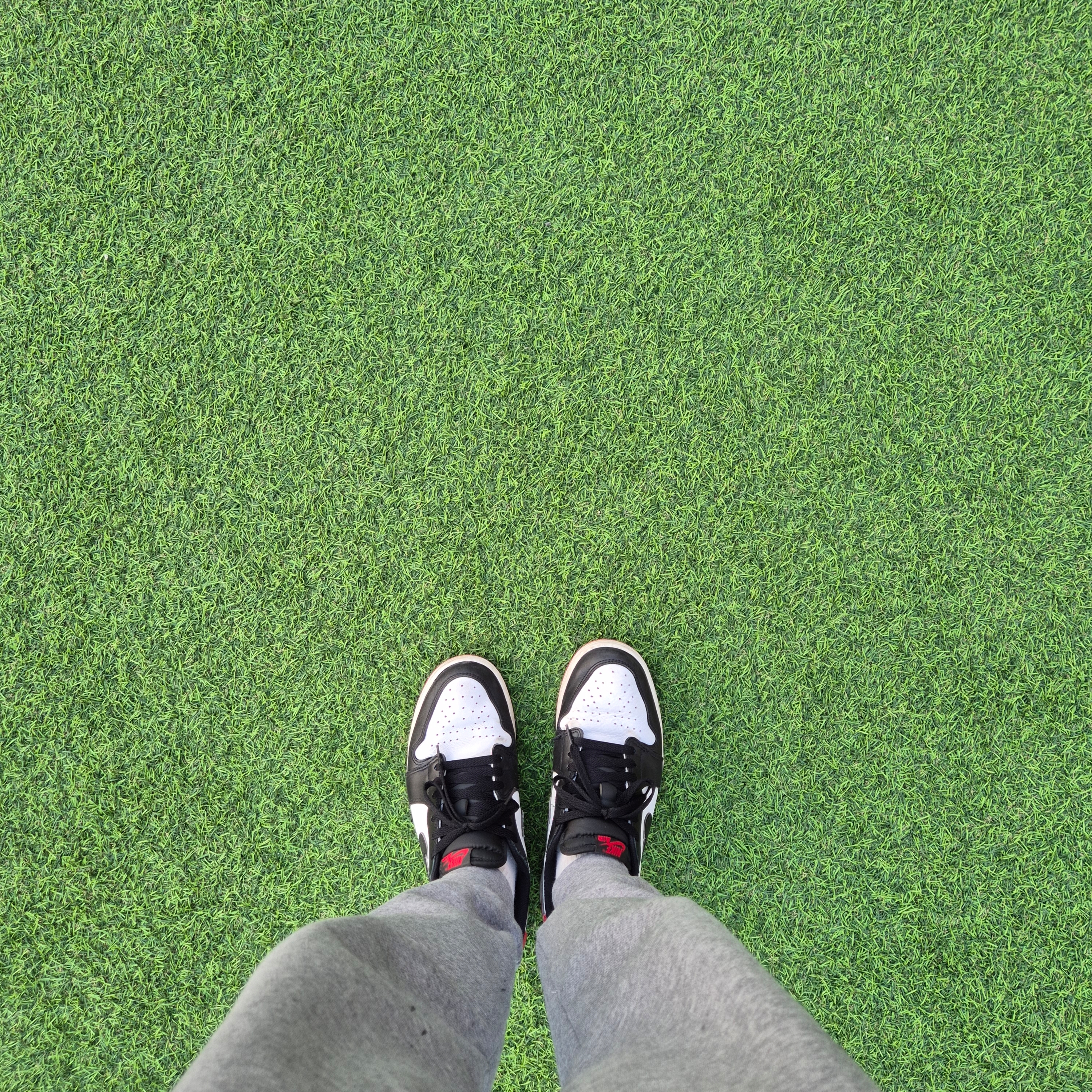 Jordan 1 Retro Low OG Black Toe 착용 스타일