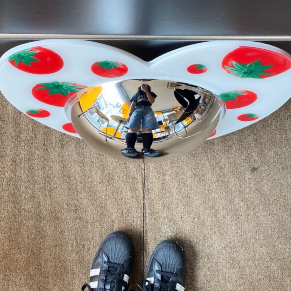 유라이크왓 토이 토마토 볼록거울([3% 포인트 적립] you like what Toy Tomato Convex Mirror) - 3