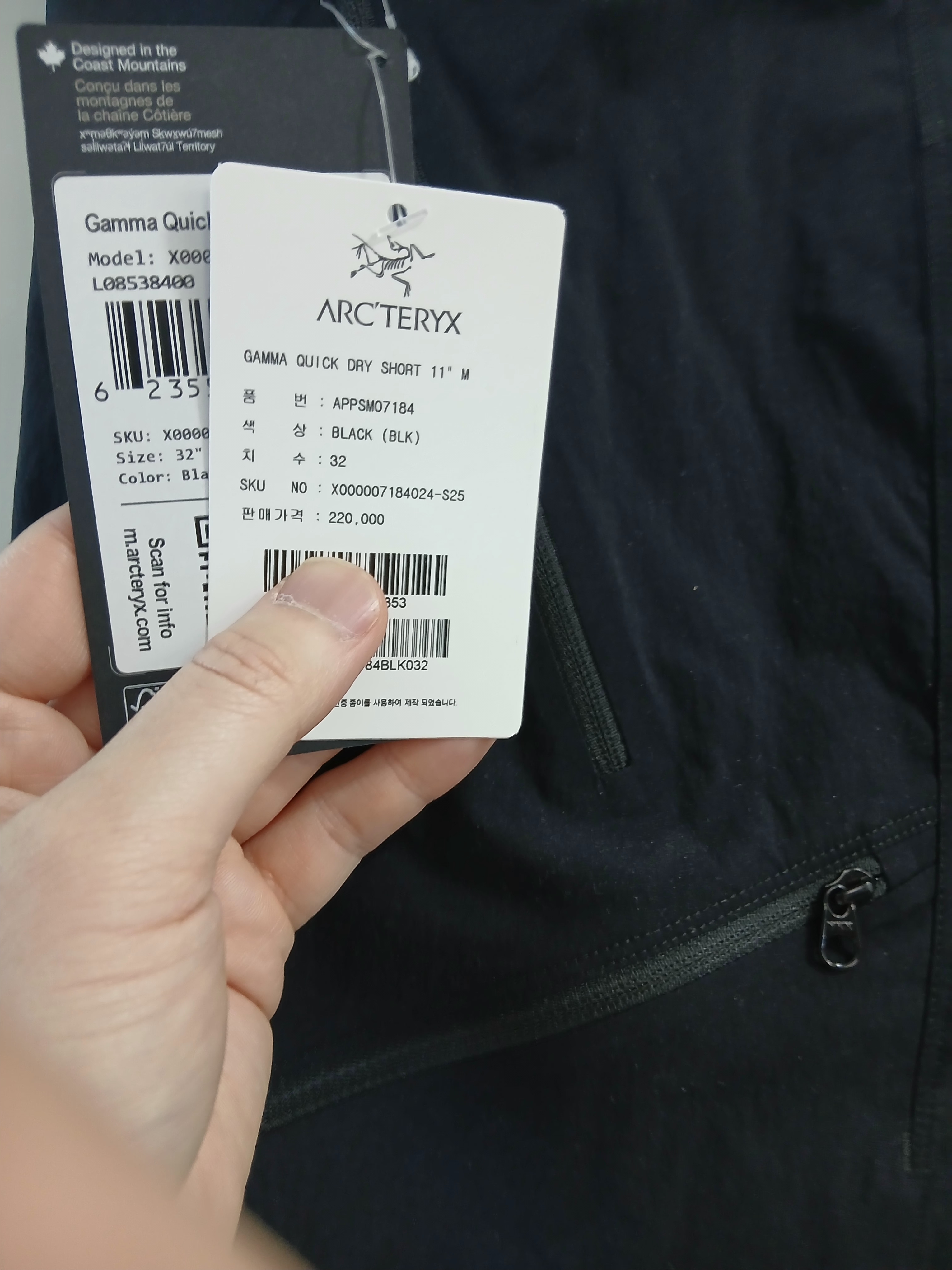 Arc'teryx Gamma Quick Dry Shorts 11 Inch Black 착용 스타일 - 6
