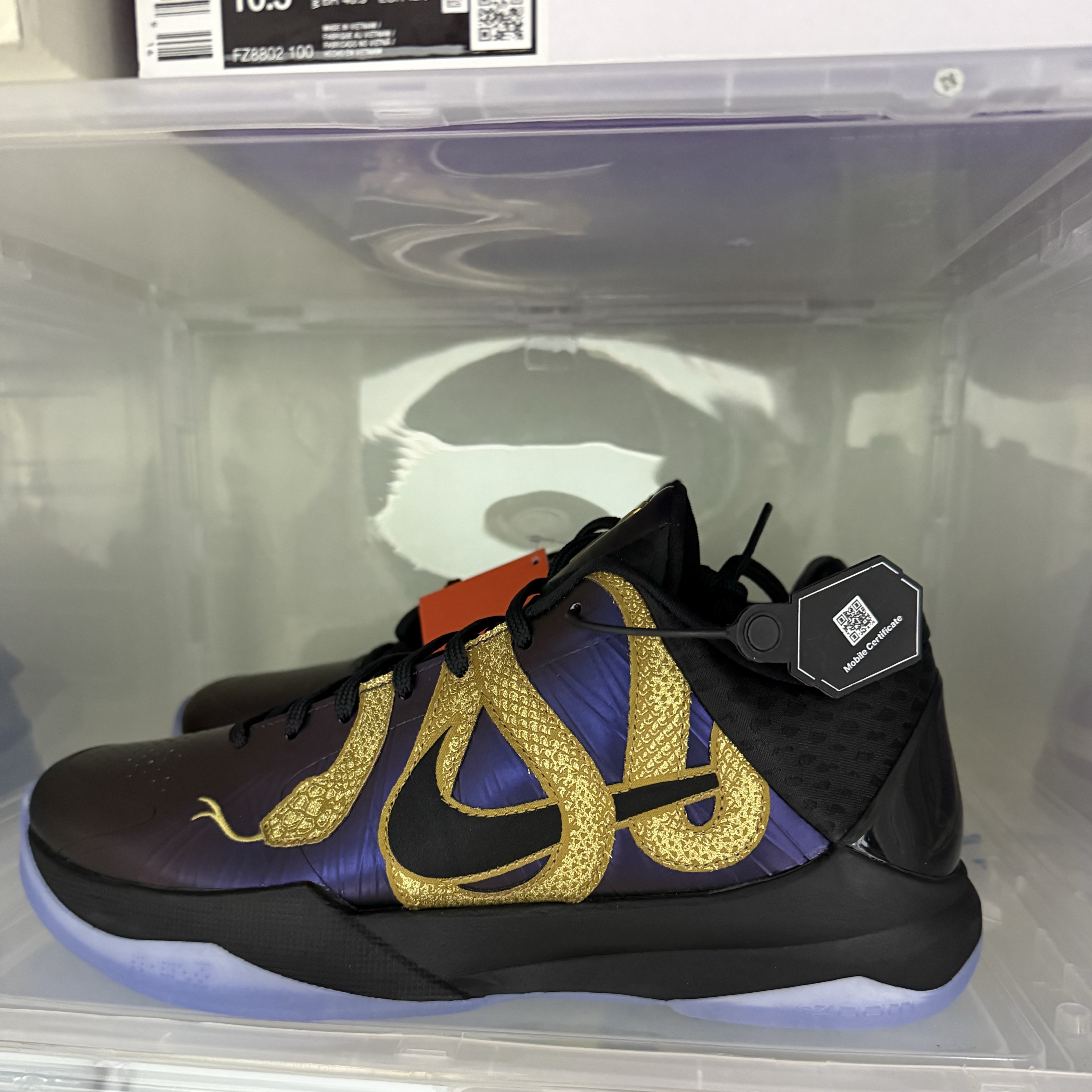 Nike Kobe 5 Protro Year of the Mamba Eggplant 착용 스타일