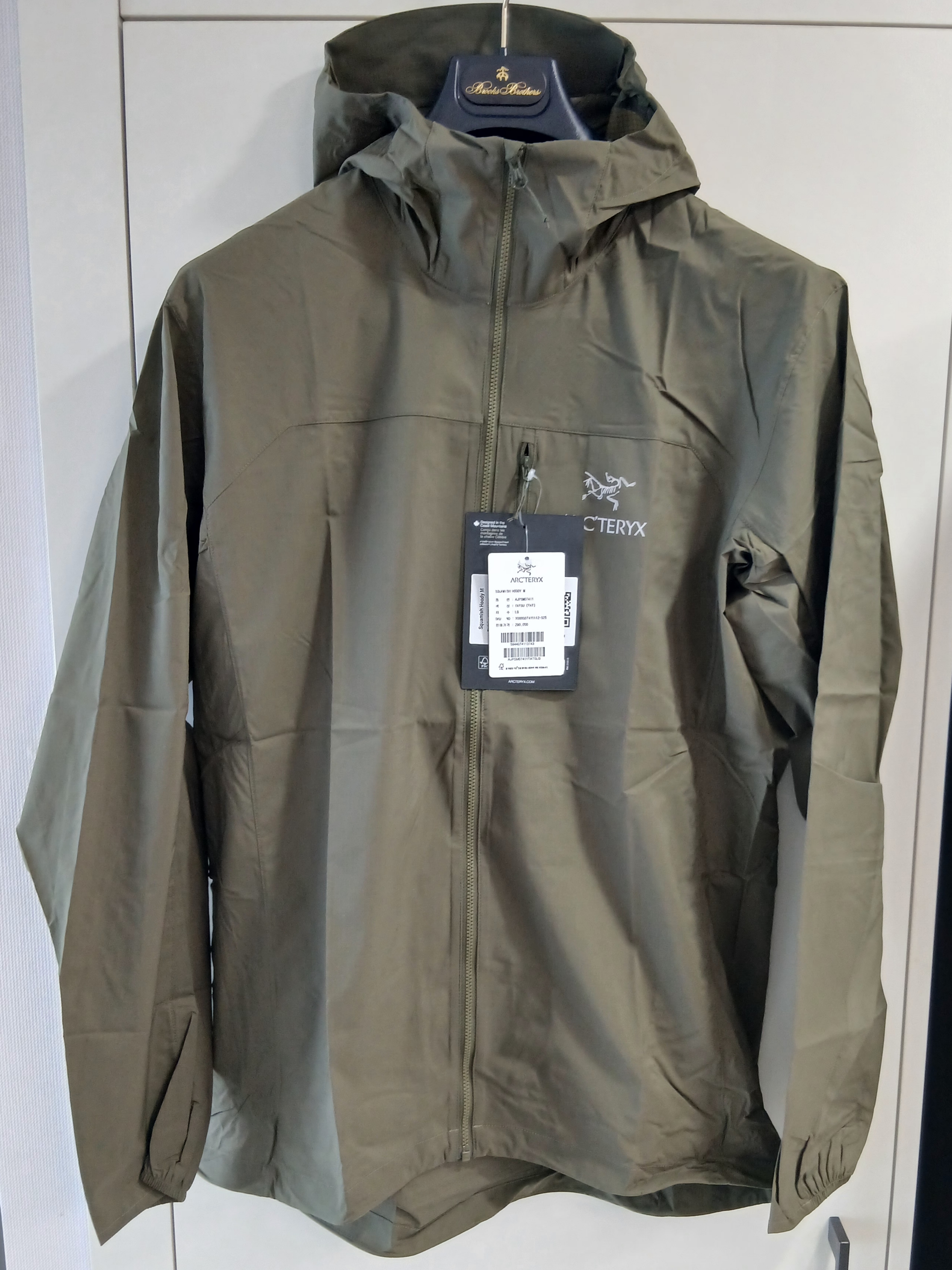 Arc'teryx Squamish Hoody Tatsu 착용 스타일 - 1