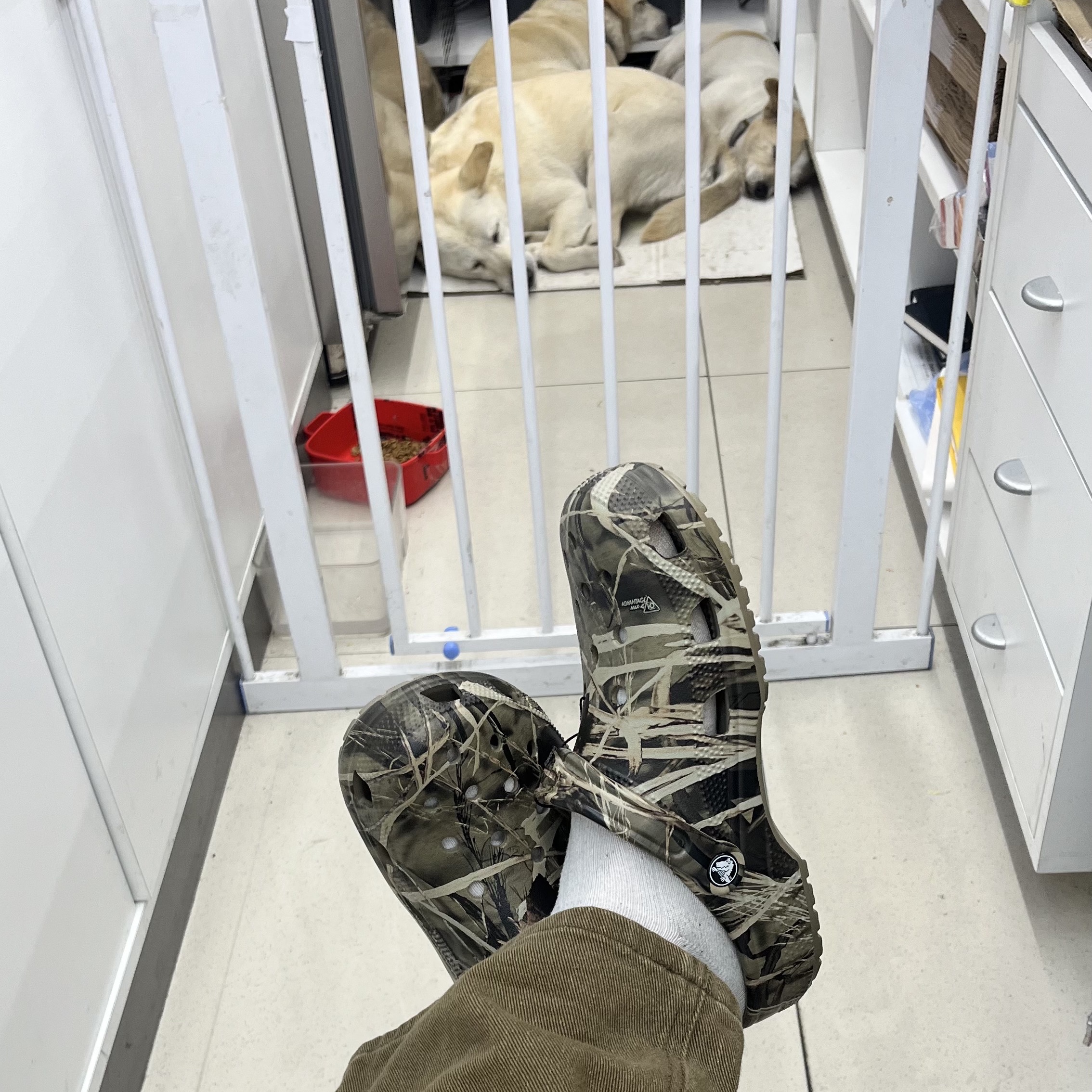 Crocs Classic Realtree Clog v2 Khaki 착용 스타일