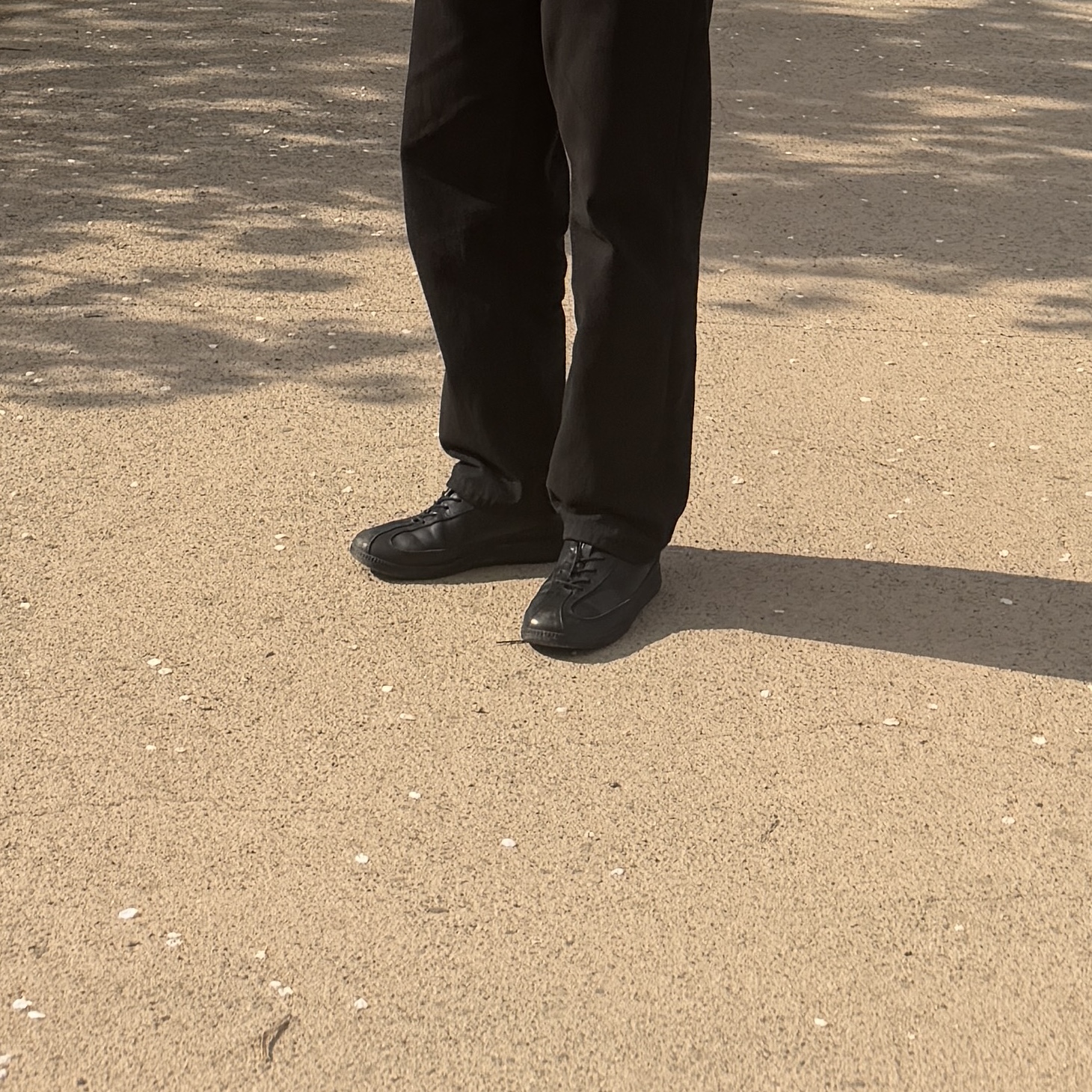 Pemont Dress Black 착용 스타일